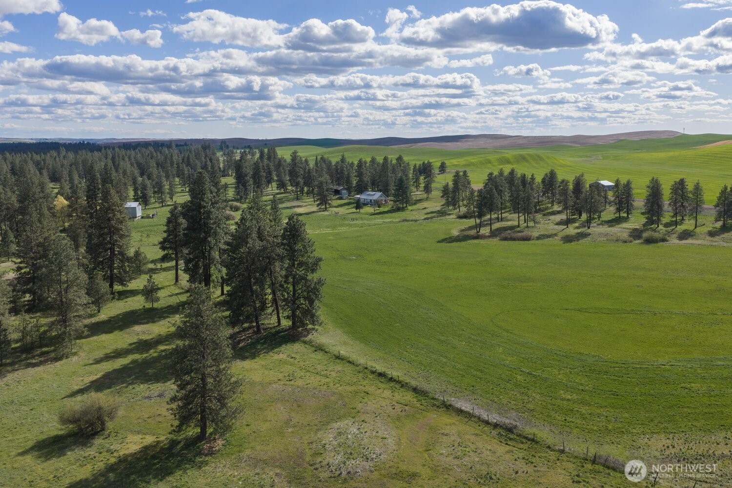 32312 North Pine Creek Road Property Photo 9