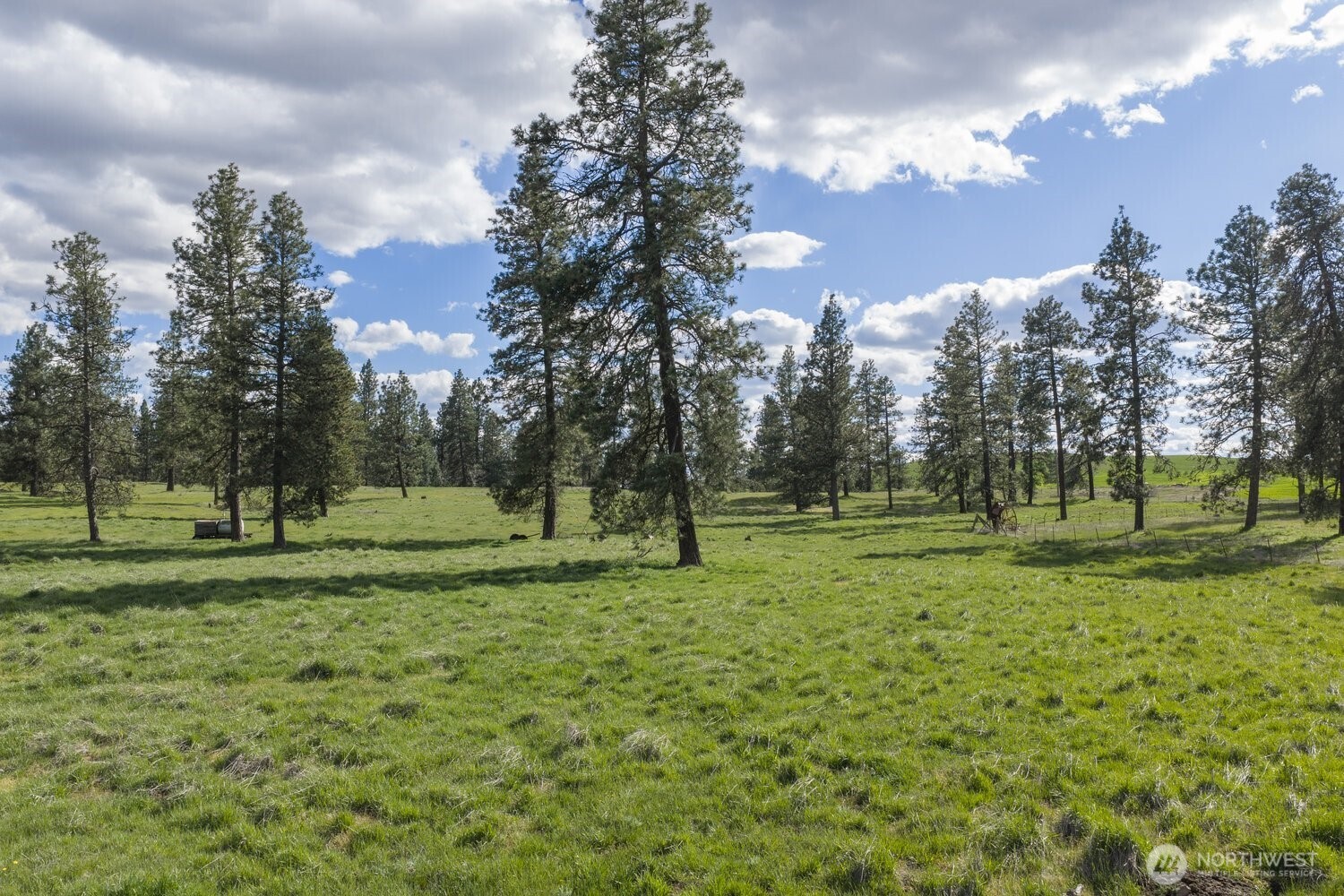 32312 North Pine Creek Road Property Photo 12