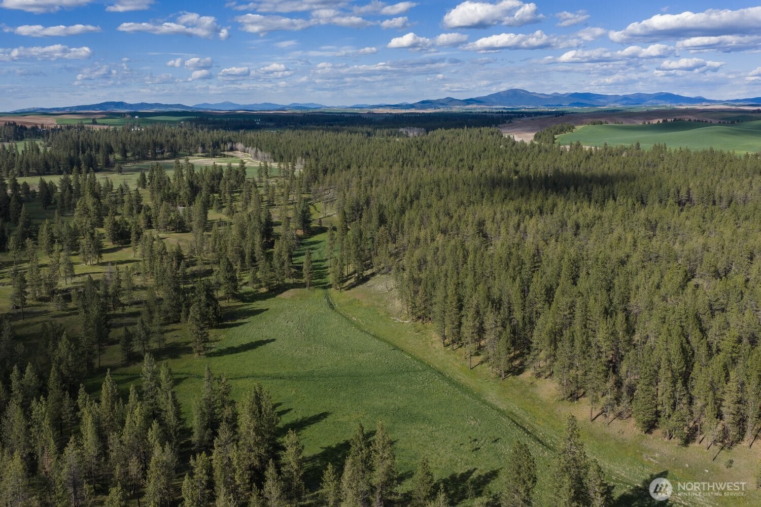 32312 North Pine Creek Road Property Photo 16