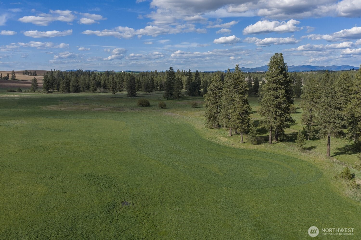 32312 North Pine Creek Road Property Photo 19