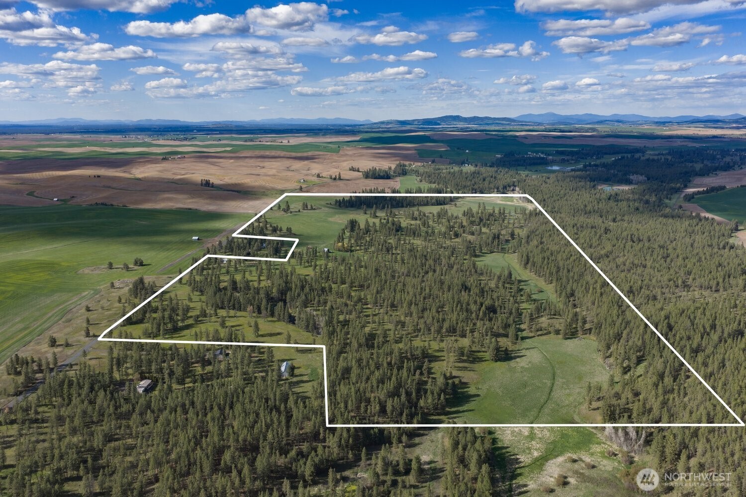 32312 North Pine Creek Road Property Photo 22