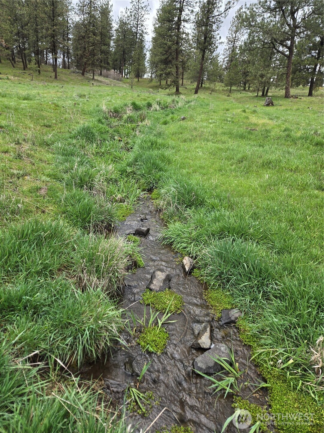 32312 North Pine Creek Road Property Photo 23