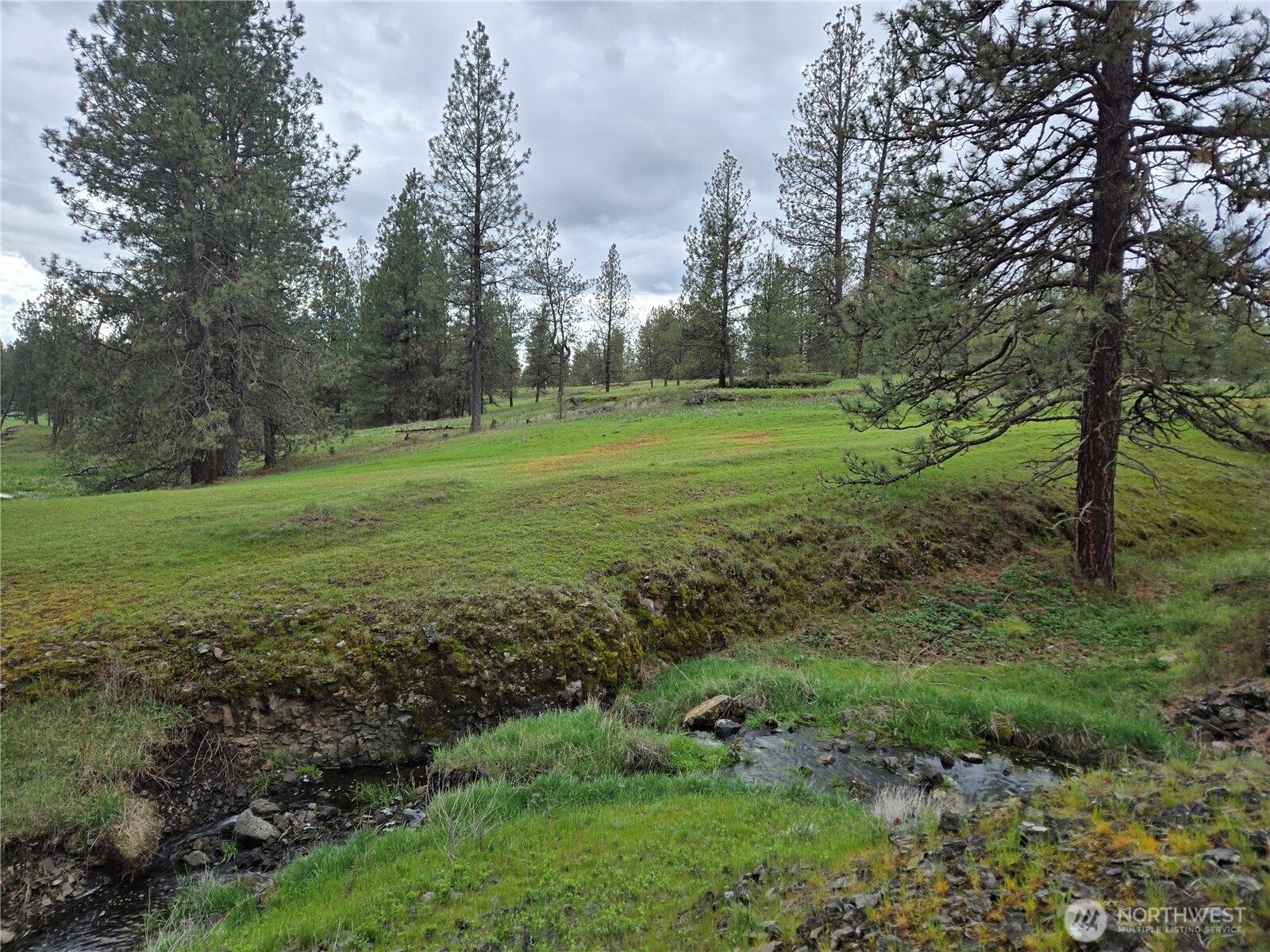 32312 North Pine Creek Road Property Photo 24