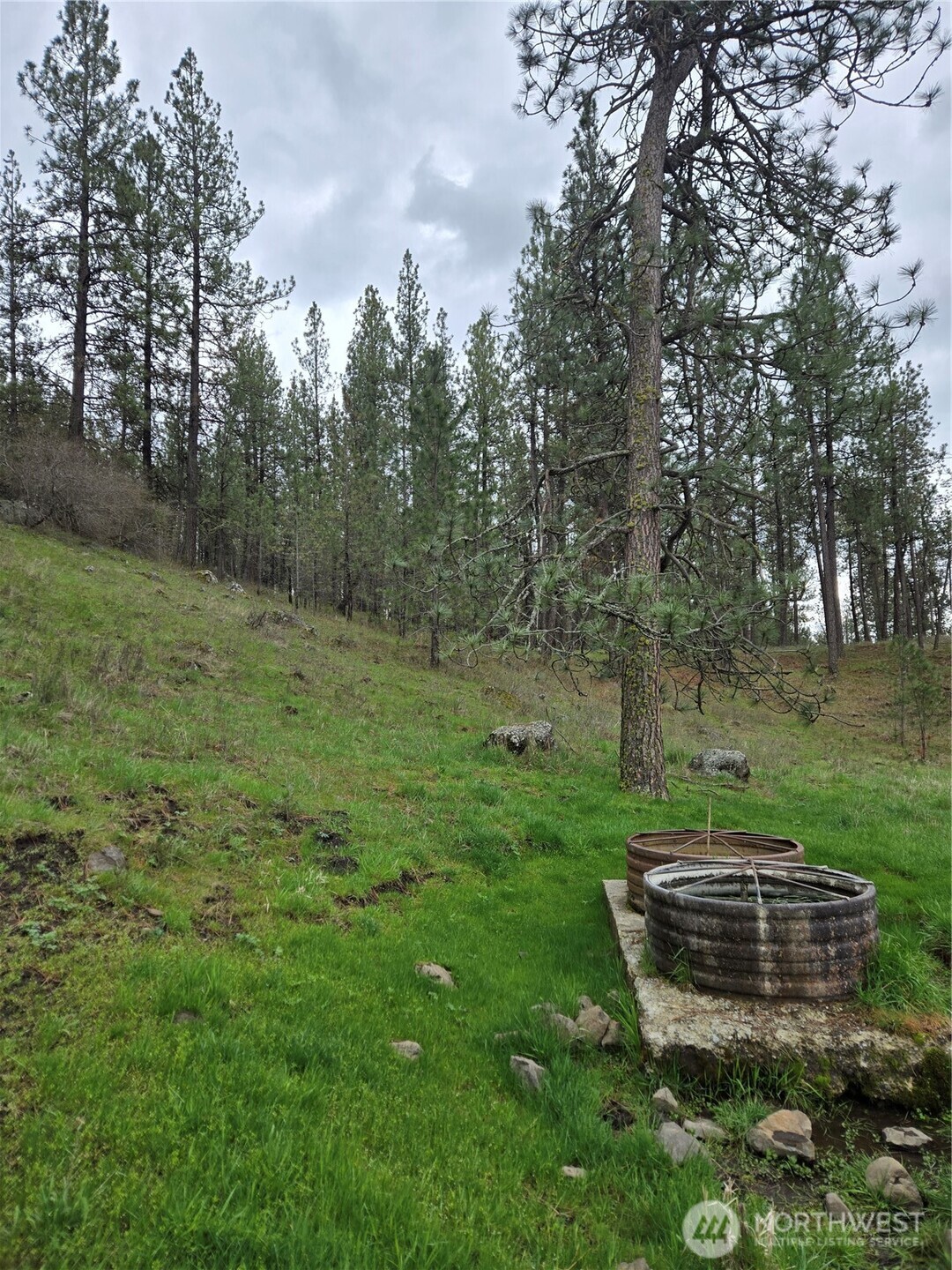 32312 North Pine Creek Road Property Photo 25
