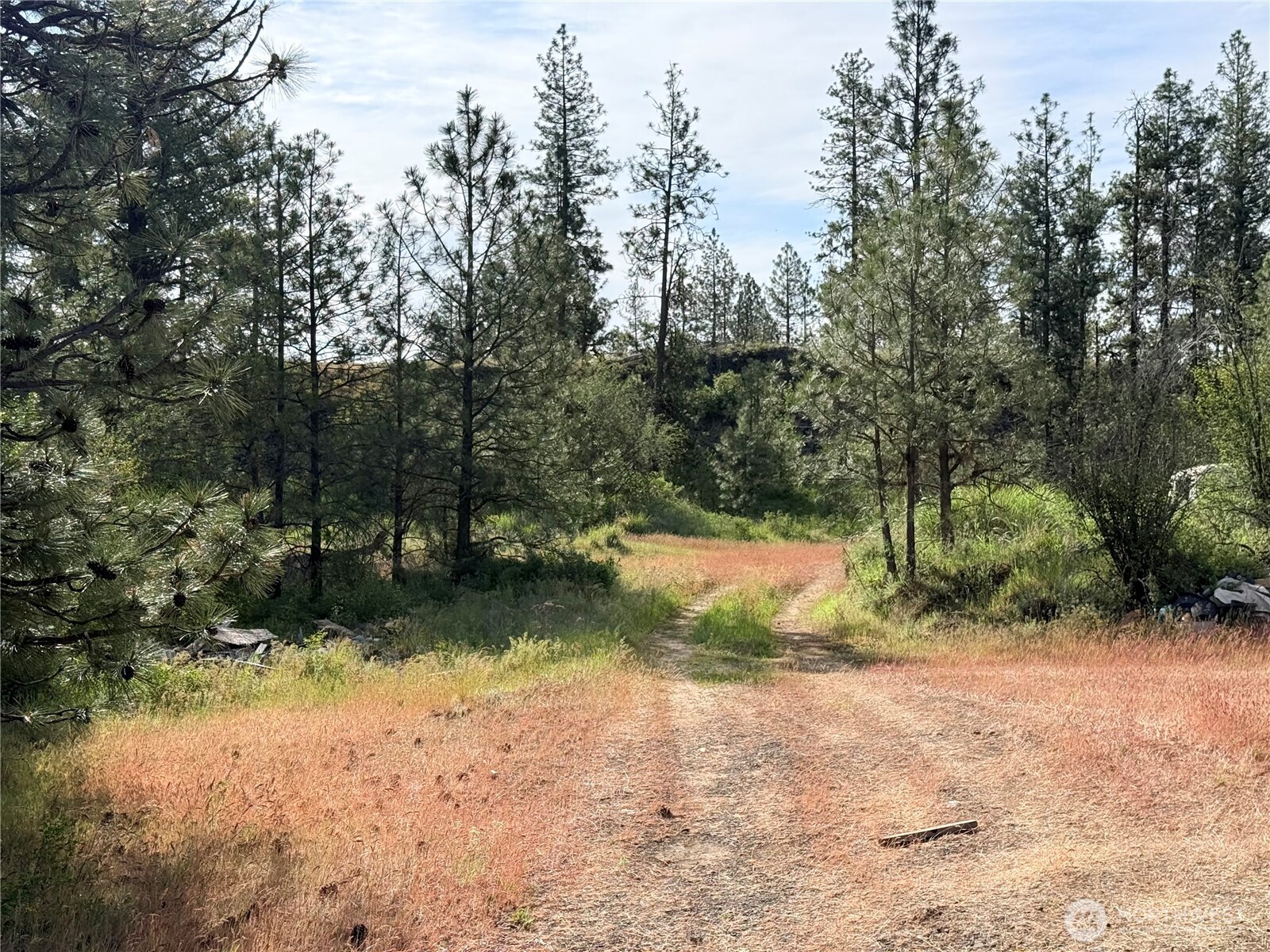 0 Johns Rocky Way Property Photo 14