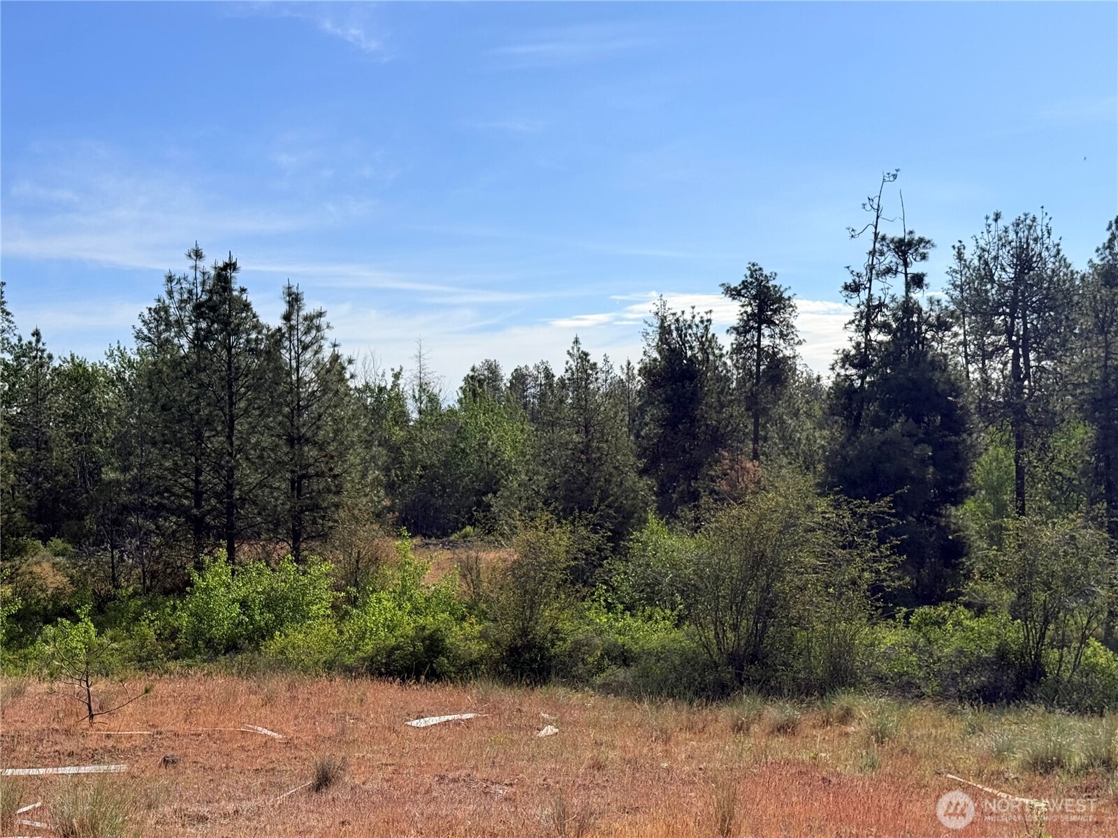 0 Johns Rocky Way Property Photo 15