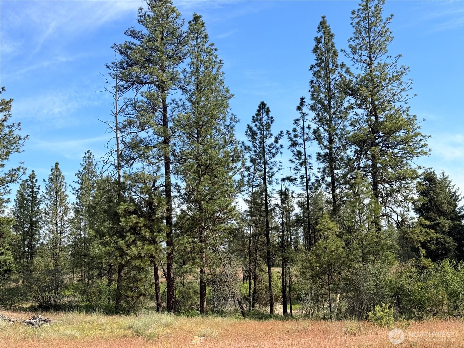 0 Johns Rocky Way Property Photo 16