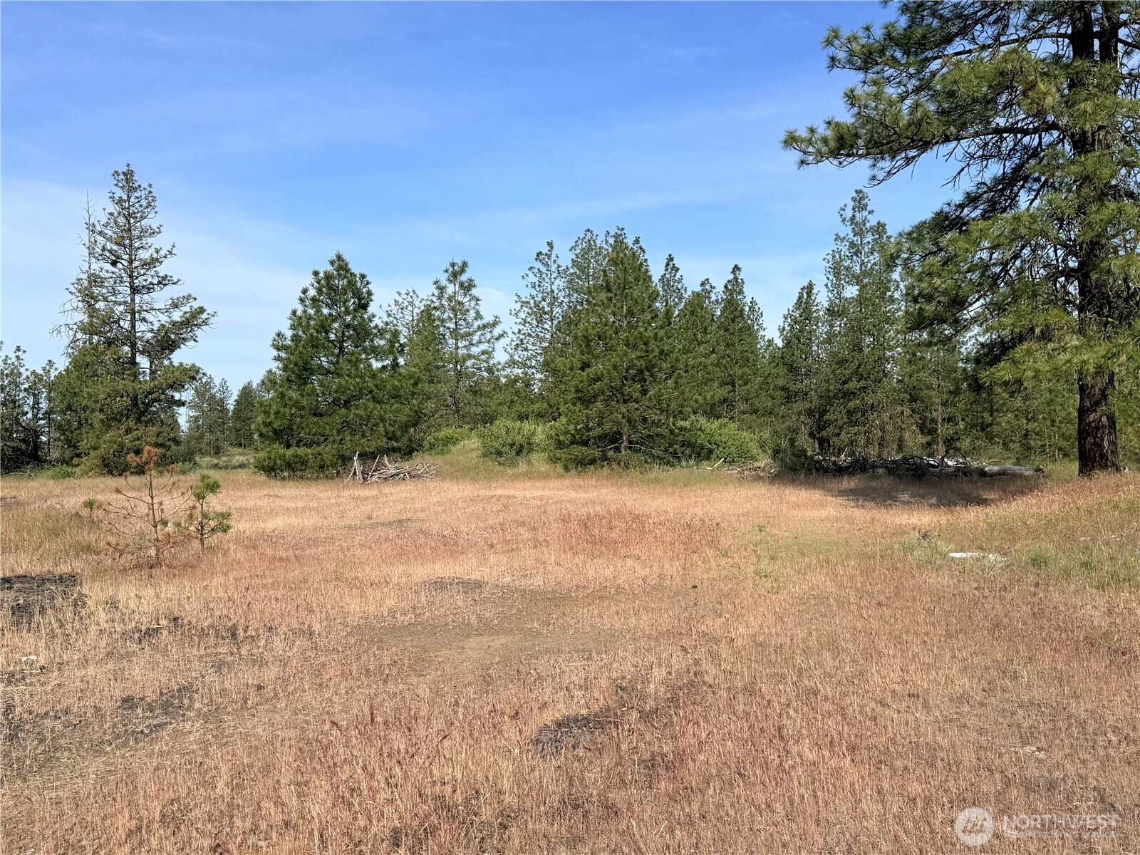 0 Johns Rocky Way Property Photo 17