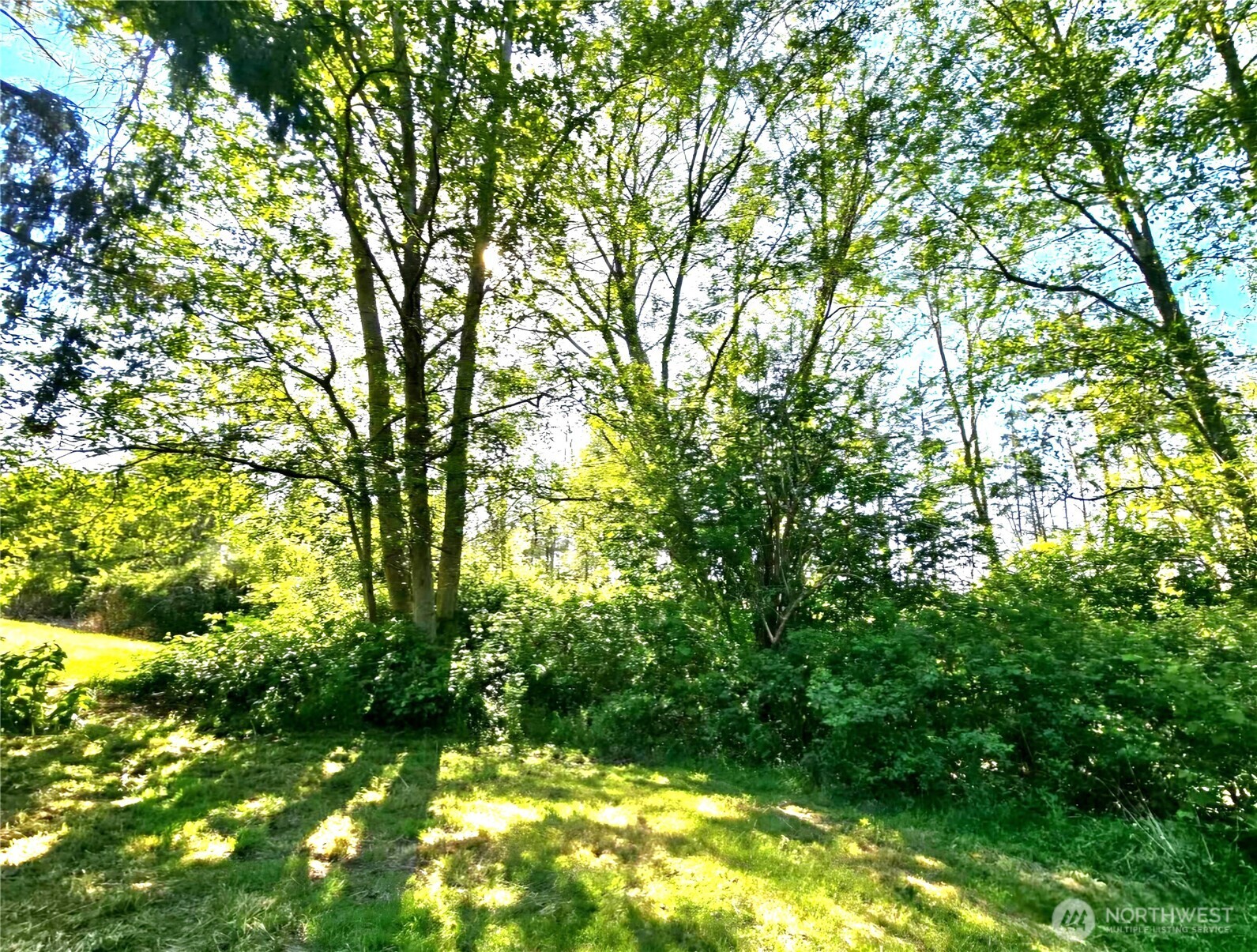4994 Deception Circle Lot 12 Property Photo 3