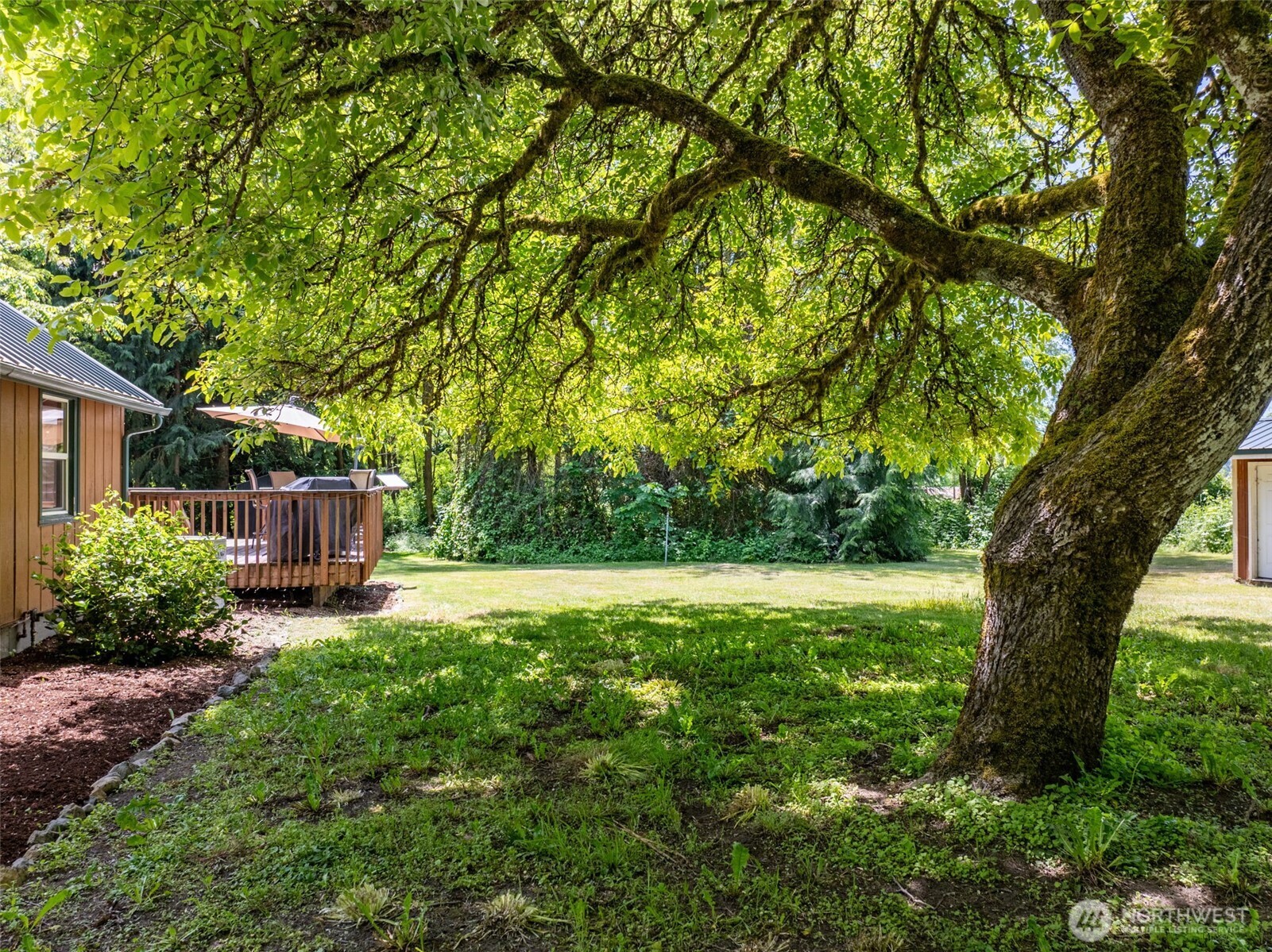 1364 Silverbrook Road Property Photo 7