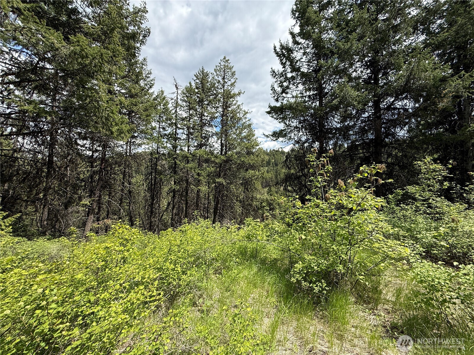 0 Lot 131 Slippery Hill Road Property Photo 1