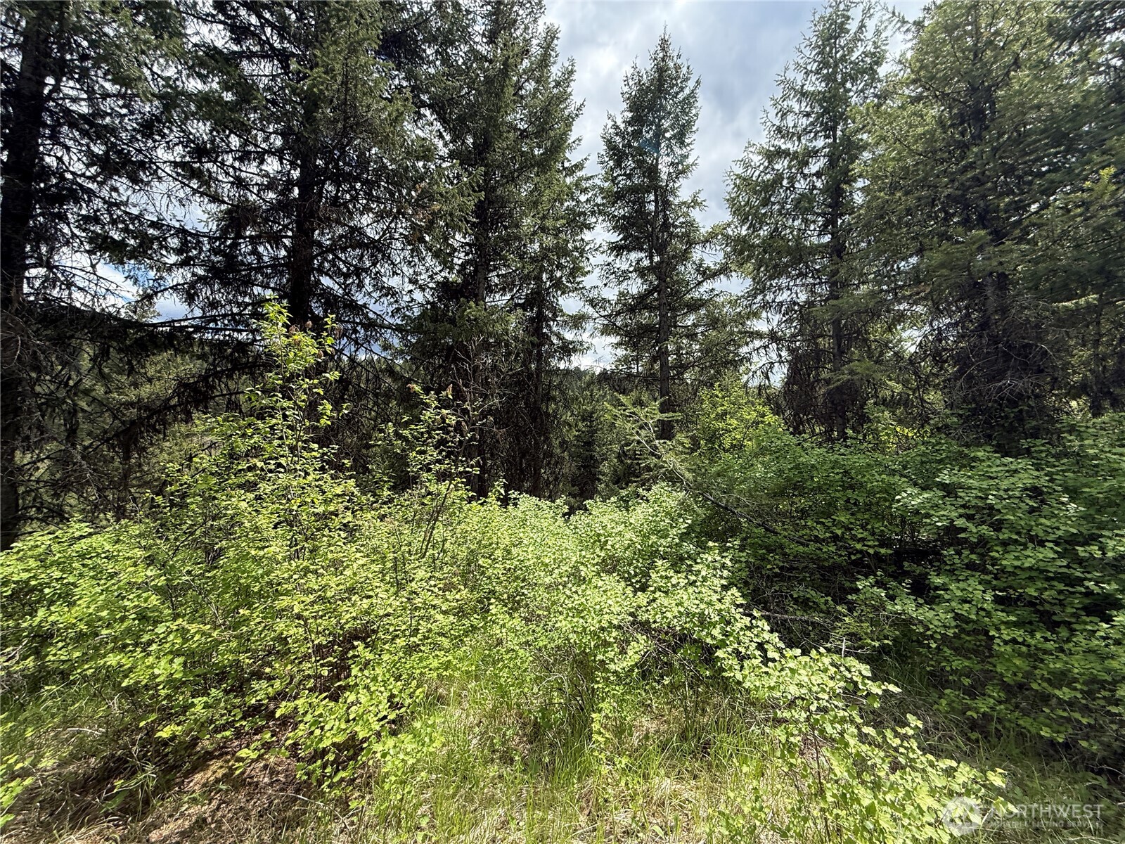 0 Lot 131 Slippery Hill Road Property Photo 2