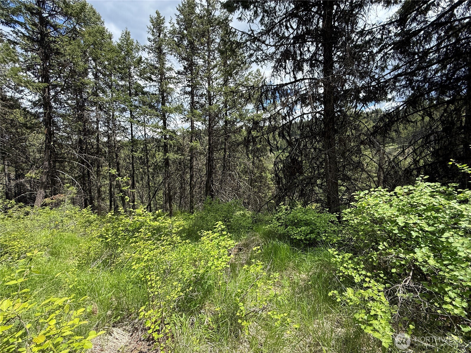 0 Lot 131 Slippery Hill Road Property Photo 3