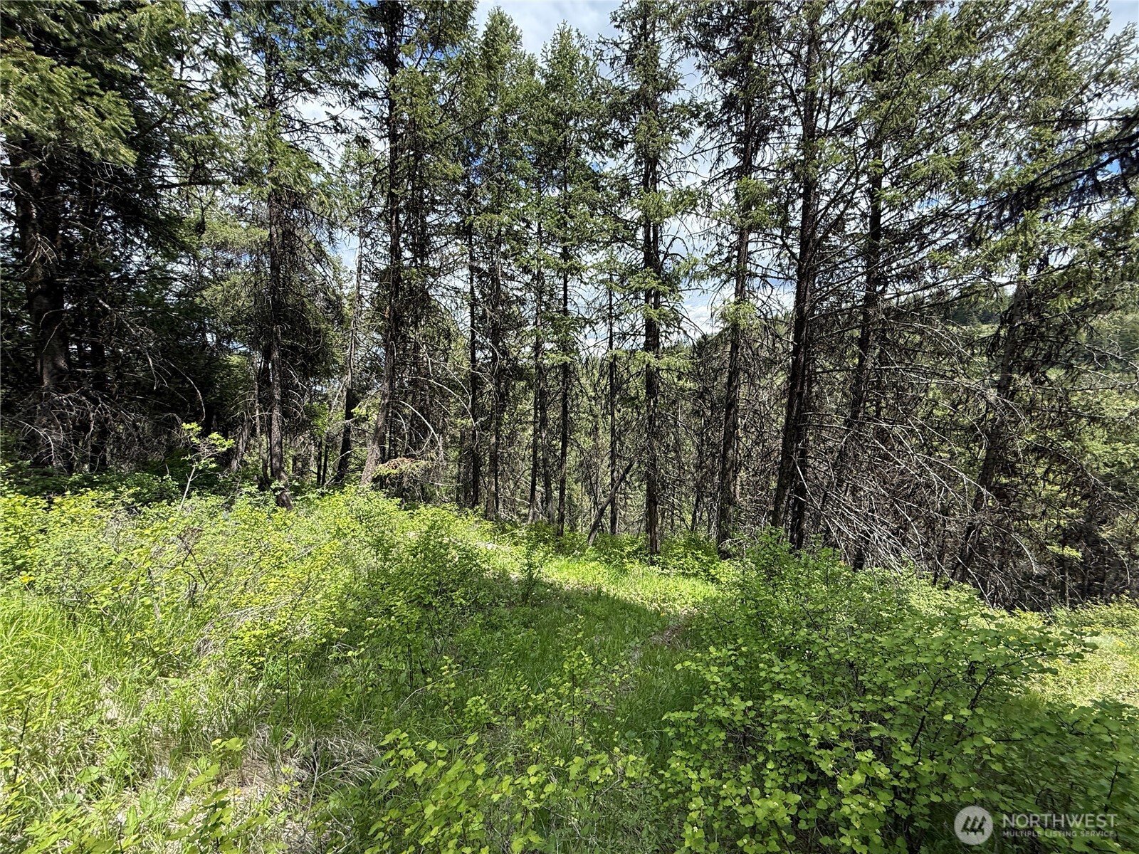 0 Lot 131 Slippery Hill Road Property Photo 4