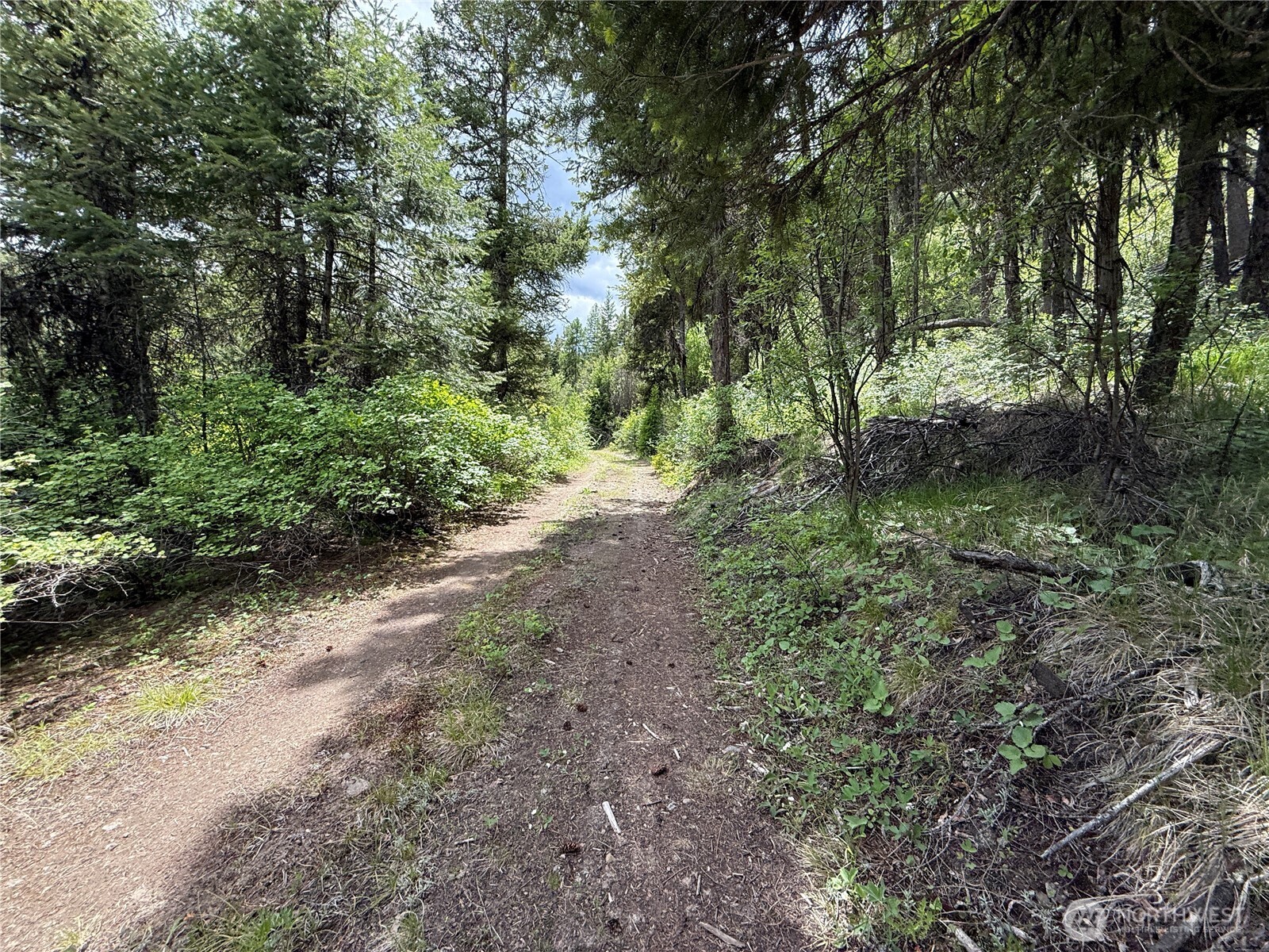 0 Lot 131 Slippery Hill Road Property Photo 5