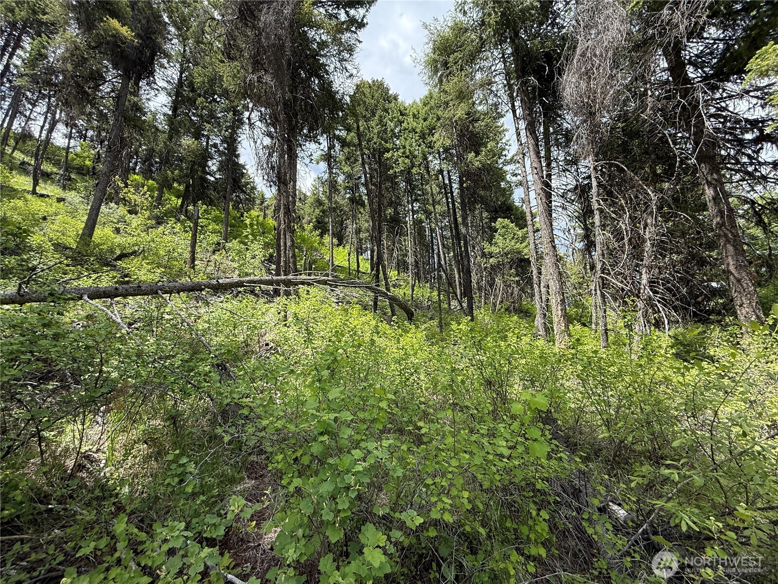 0 Lot 131 Slippery Hill Road Property Photo 6