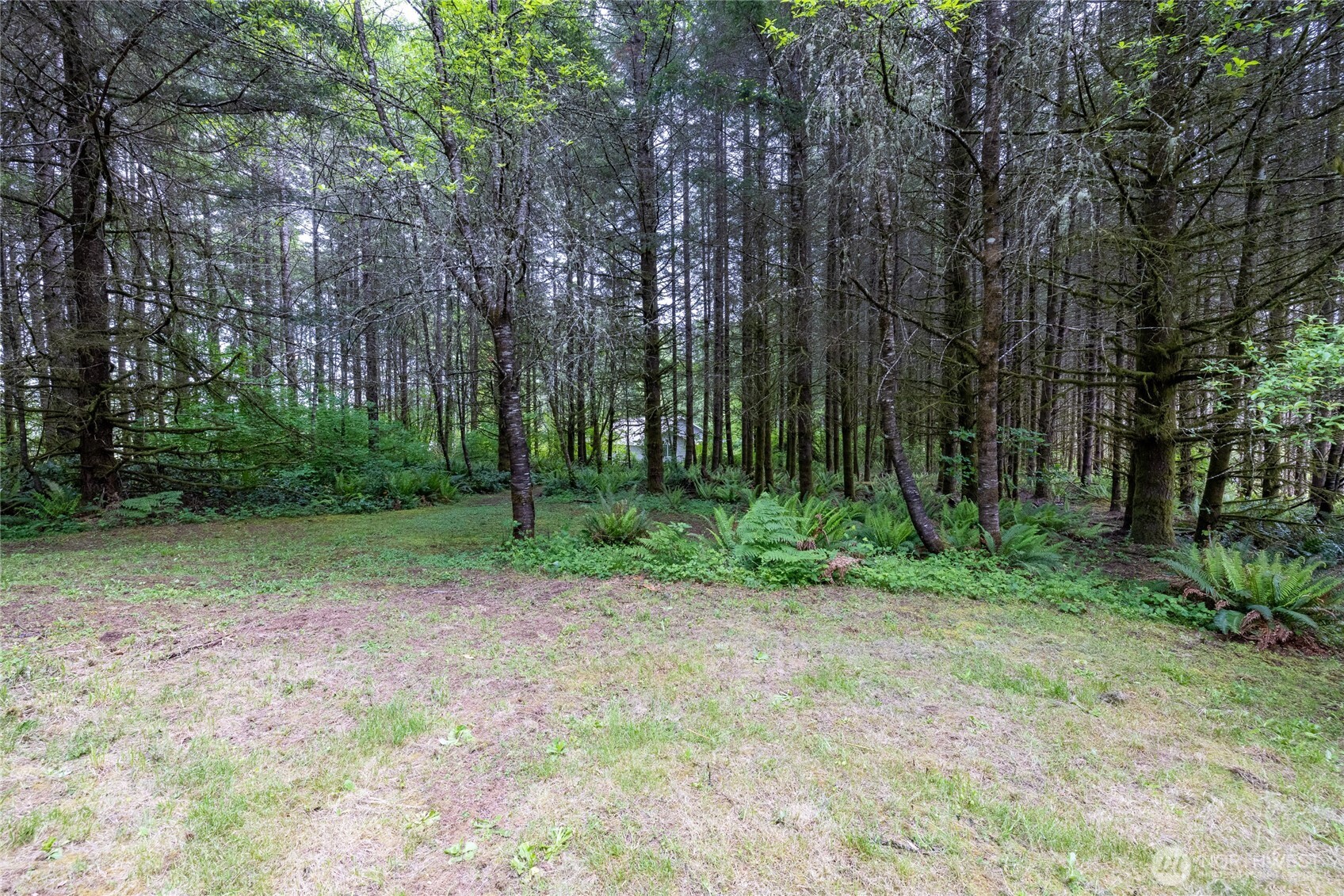 123 Lentz Rd Property Photo 34