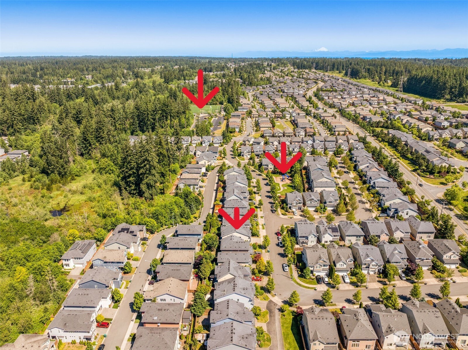 17806 39th Avenue Property Photo 33