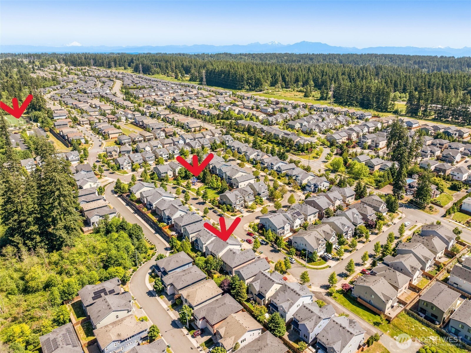 17806 39th Avenue Property Photo 34