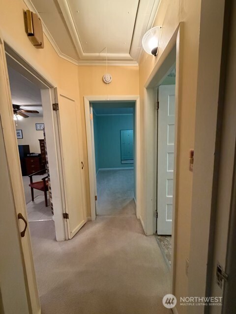 509 Monroe Street Property Photo 10
