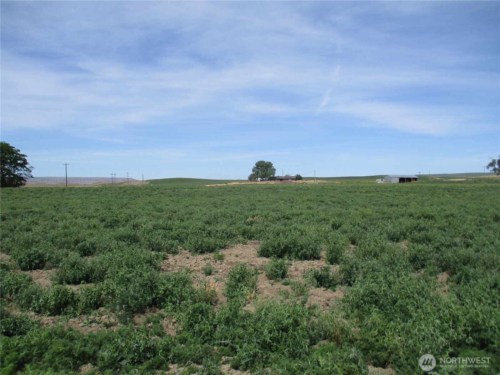 669 Cummins Road Property Photo 6