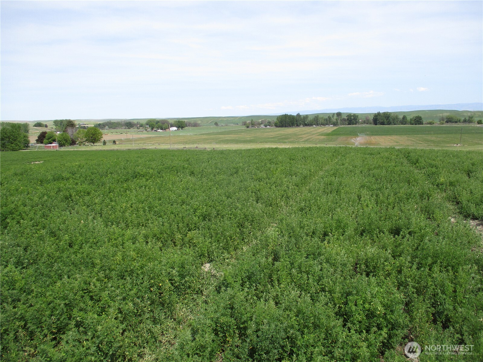 1351 Cummins Road Property Photo 6