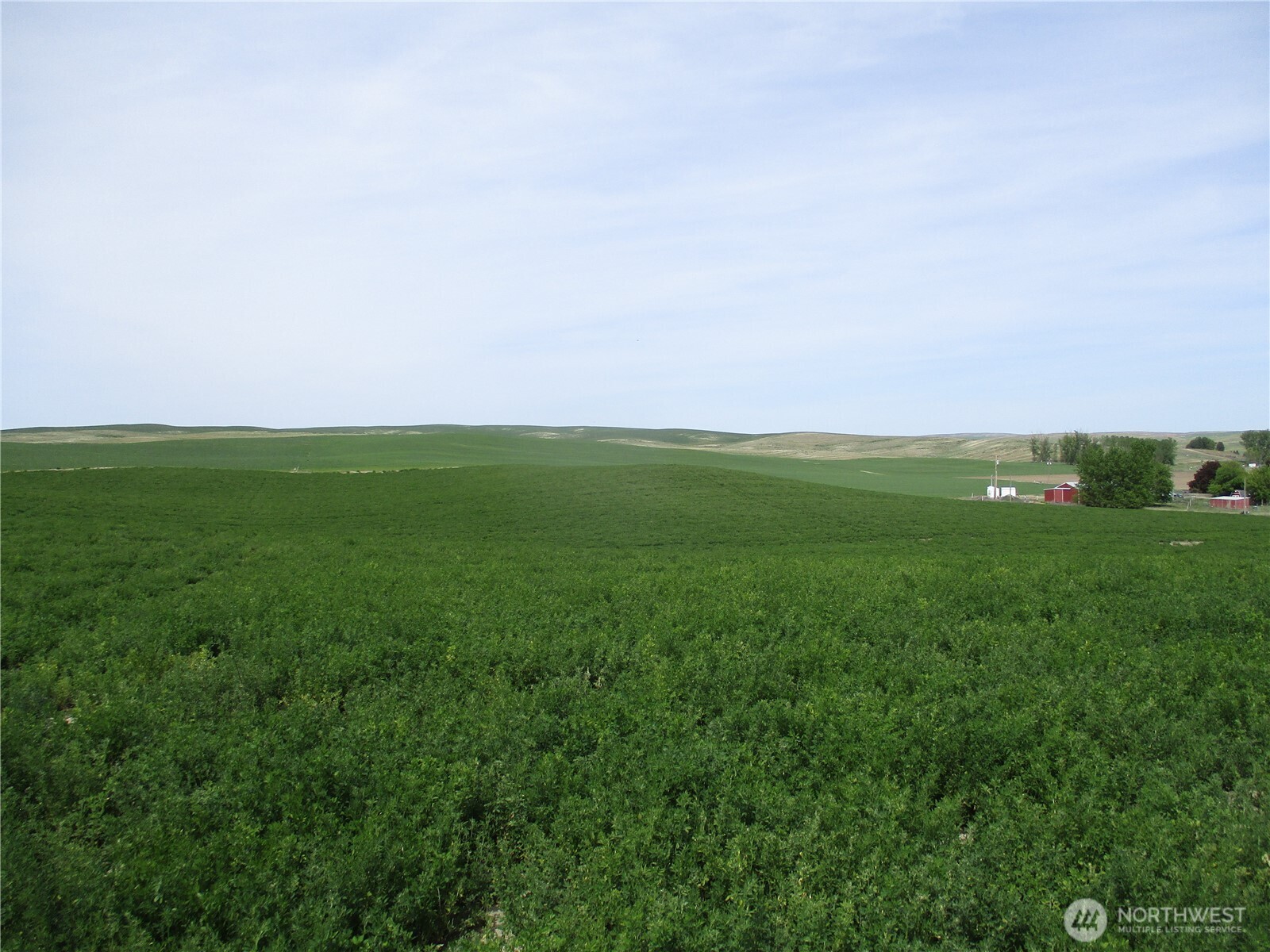 1351 Cummins Road Property Photo 7