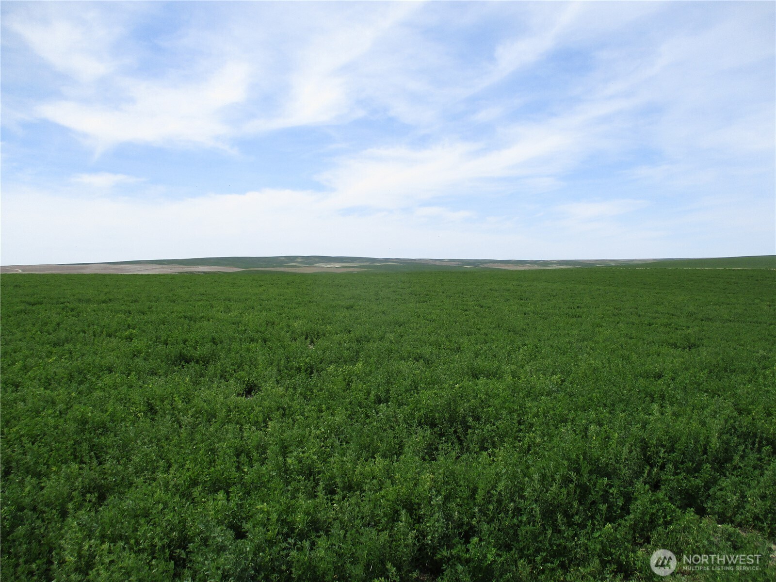 1351 Cummins Road Property Photo 8