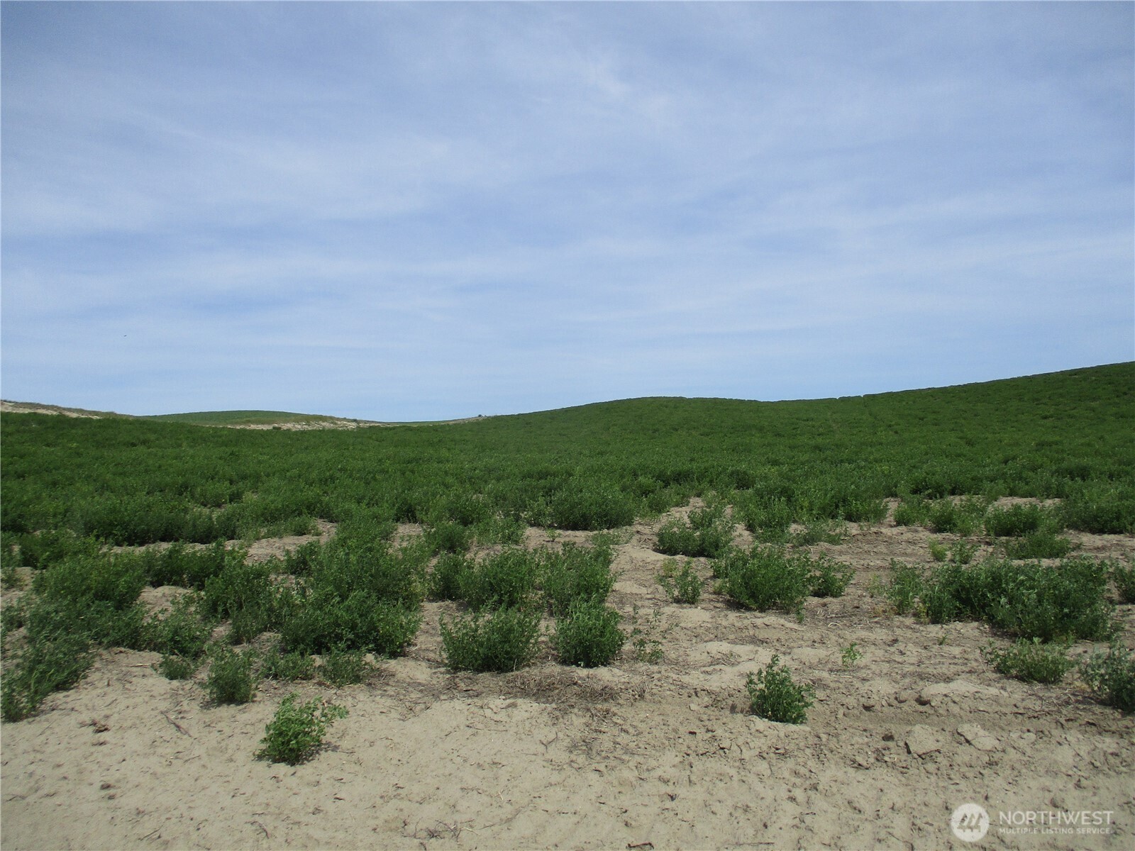 1351 Cummins Road Property Photo 10