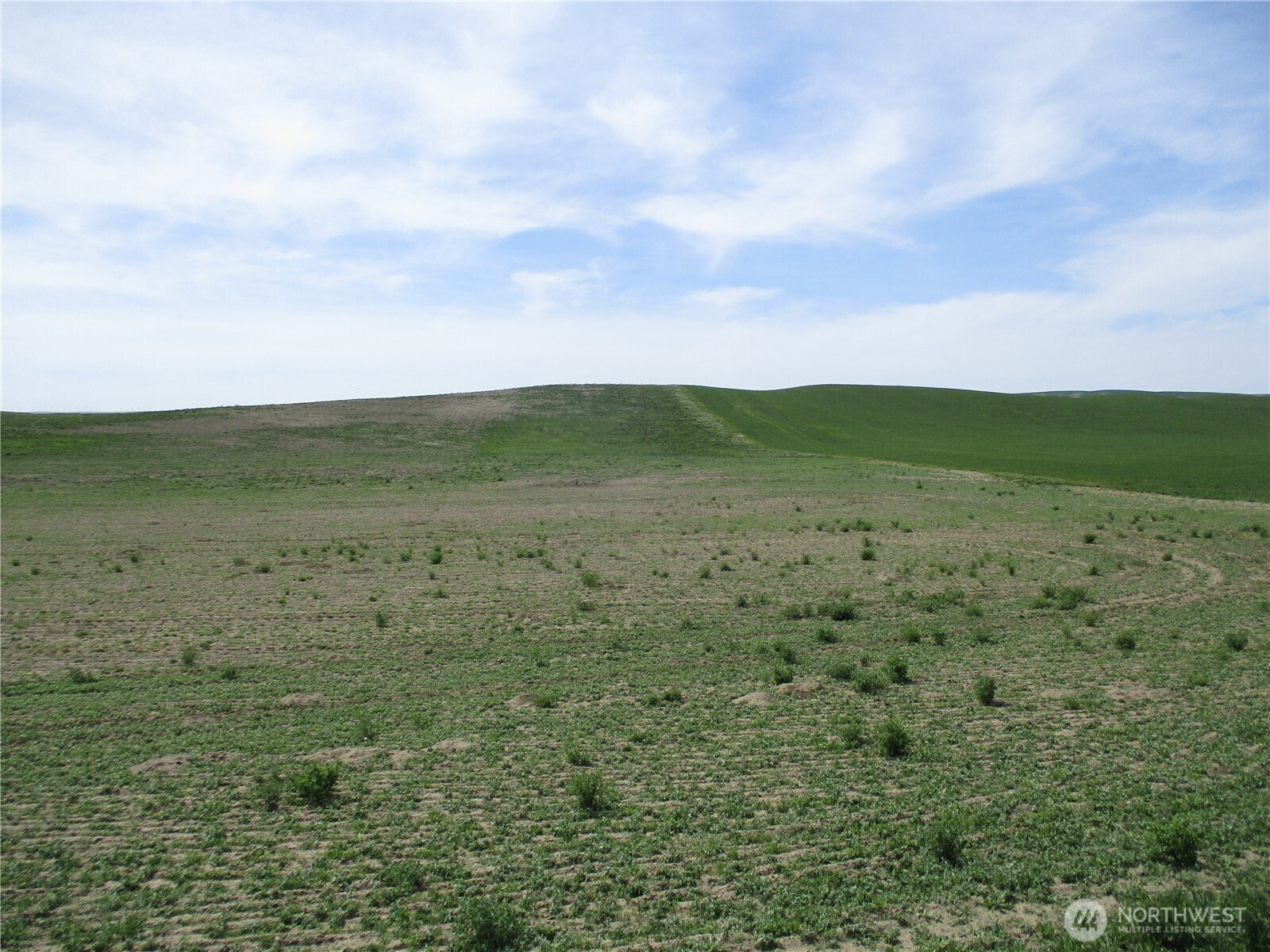 1351 Cummins Road Property Photo 11