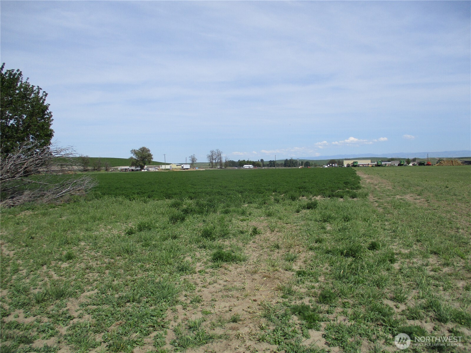 1351 Cummins Road Property Photo 13