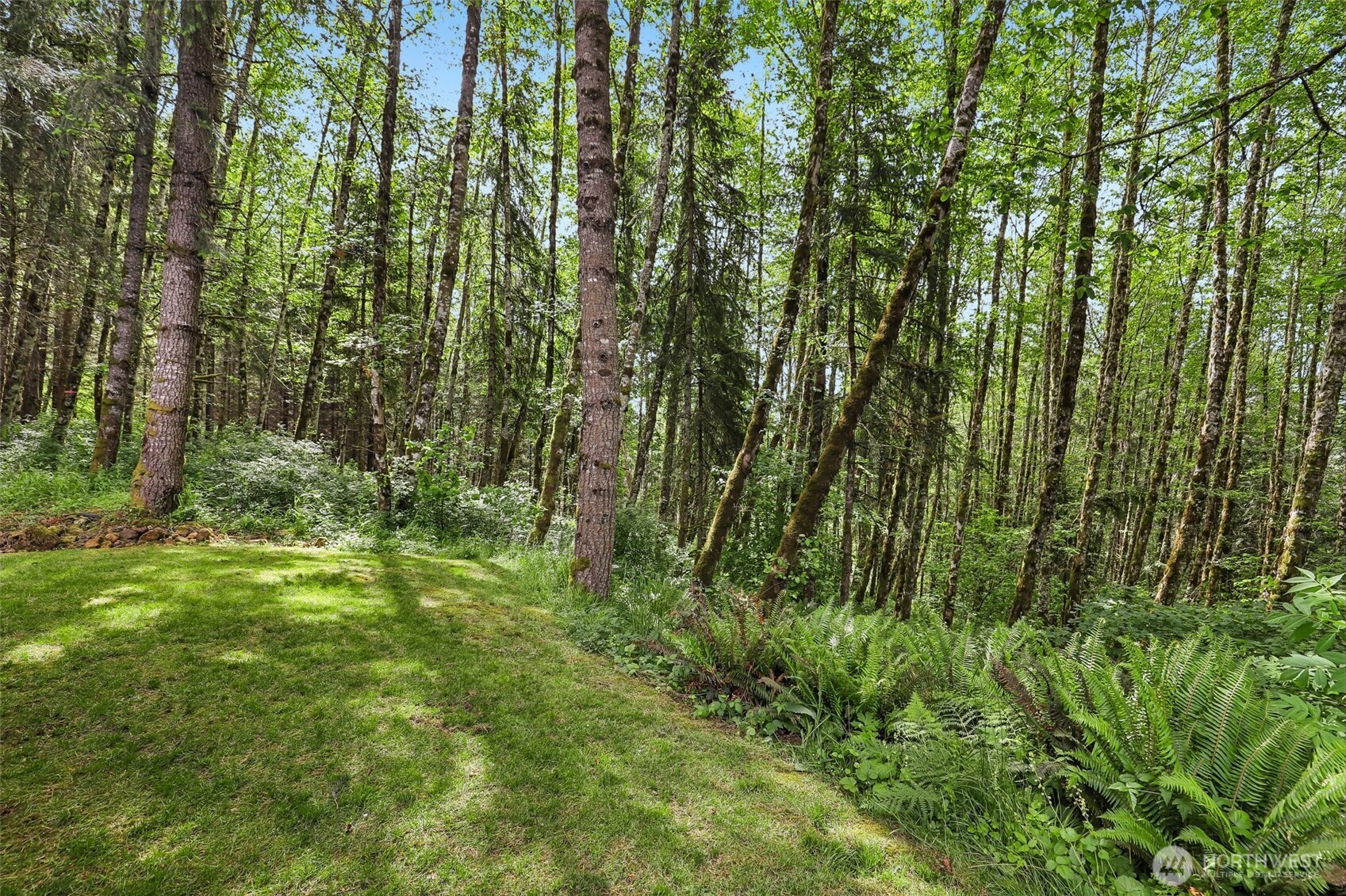 873 Mountain View Road Property Photo 35