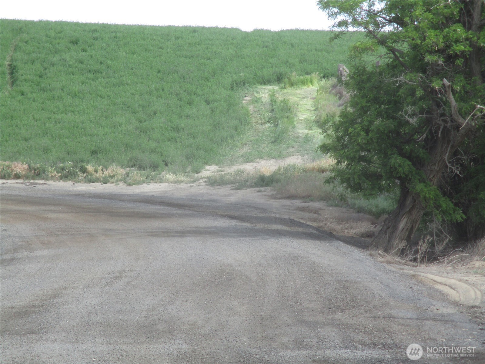 0 Nka Ash Hollow Road Property Photo 7