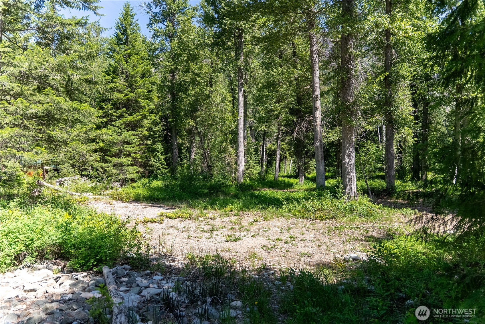 101 Tbd Cassel Way Property Photo 15