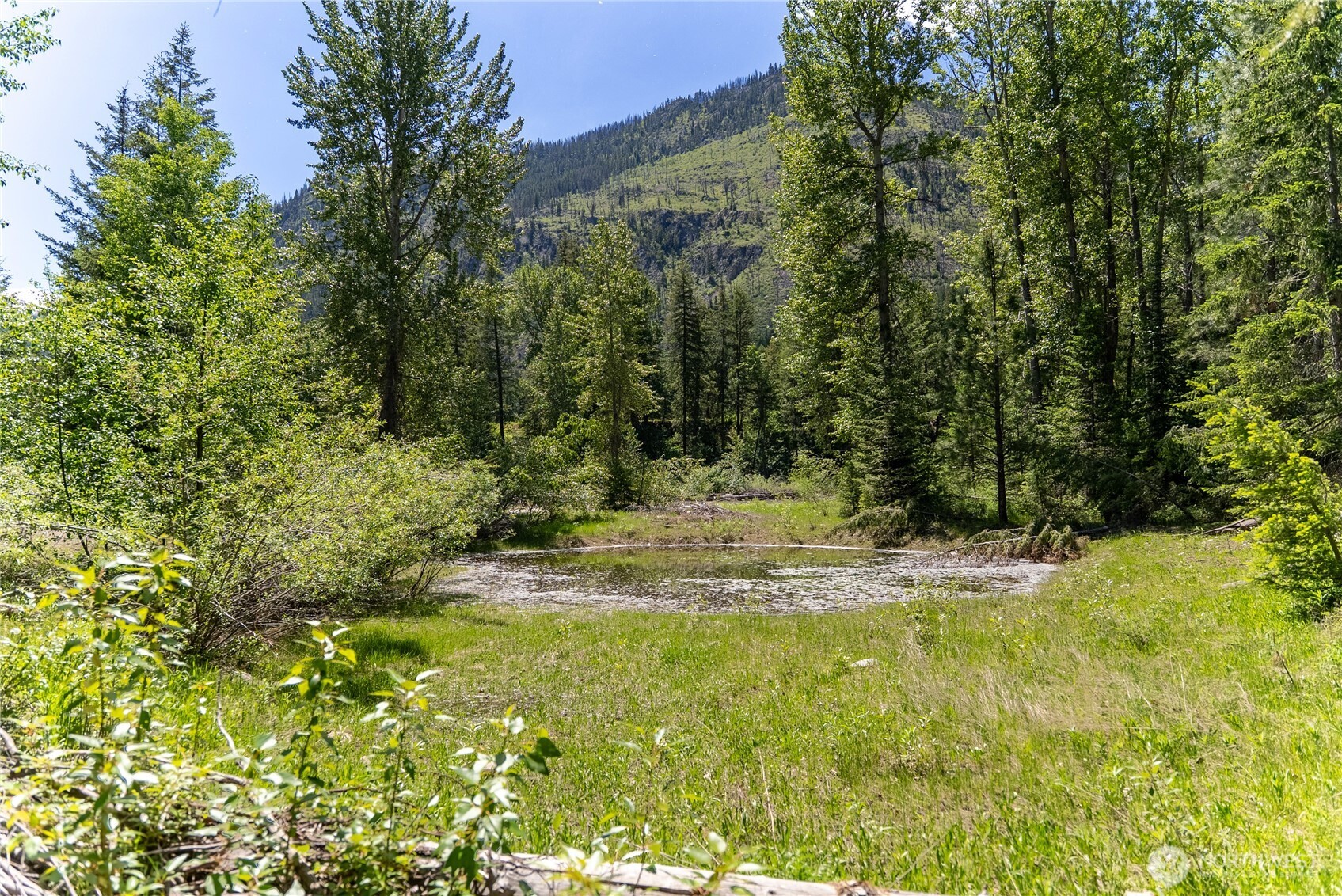 101 Tbd Cassel Way Property Photo 19
