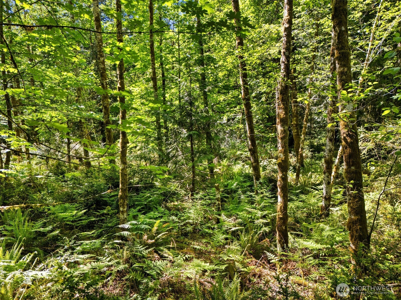0 Tr 15 E Jared Road Property Photo 3