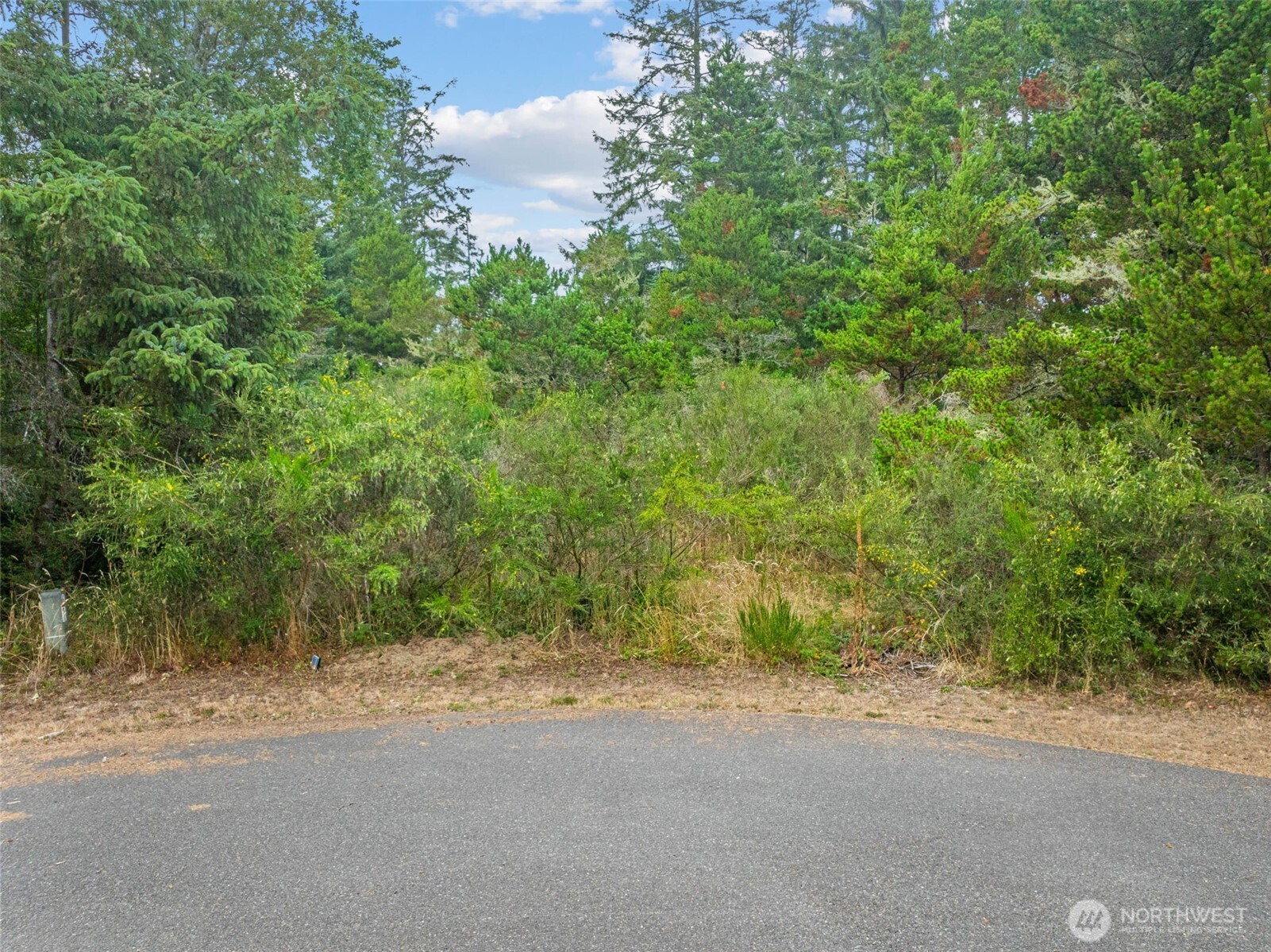 1016 Lola Court Property Photo 14