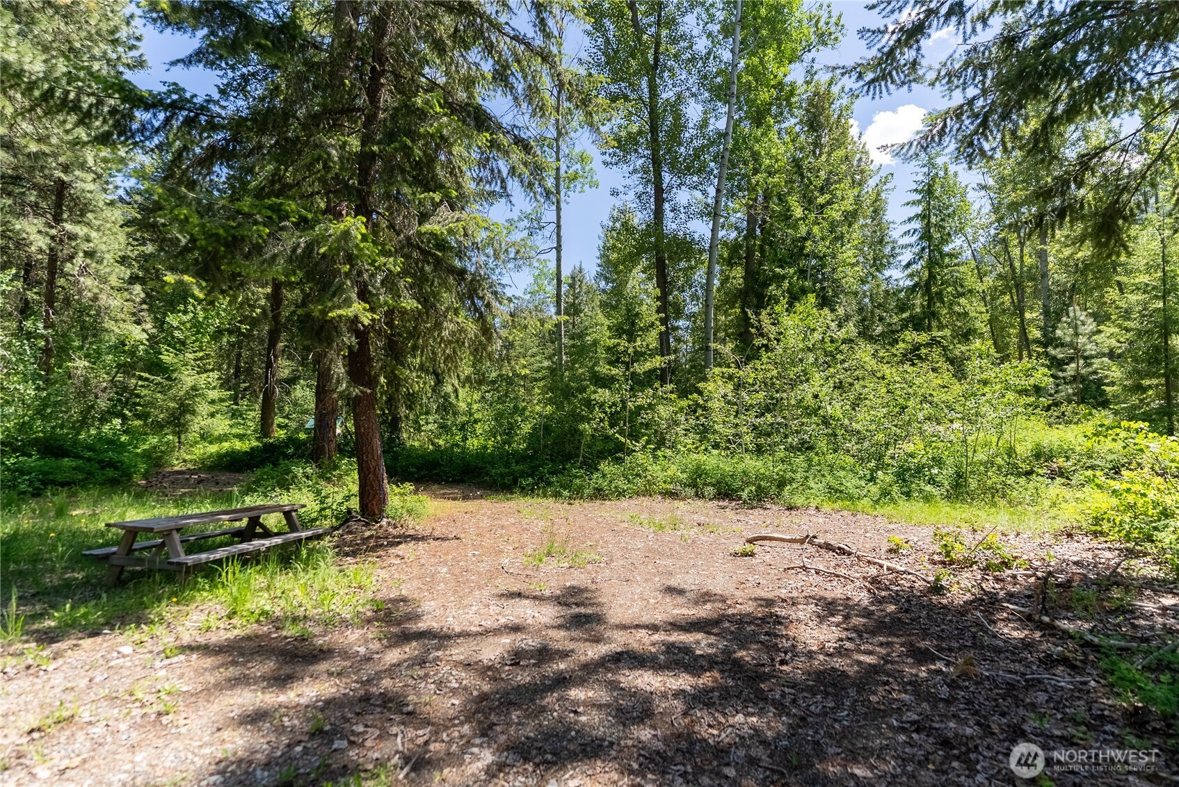 97 Tbd Cedarosa Way Property Photo 4