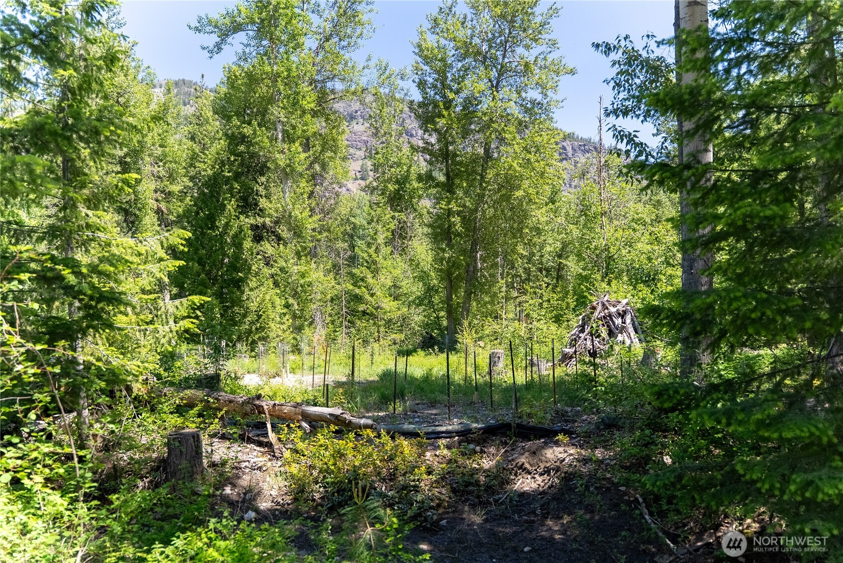 97 Tbd Cedarosa Way Property Photo 5