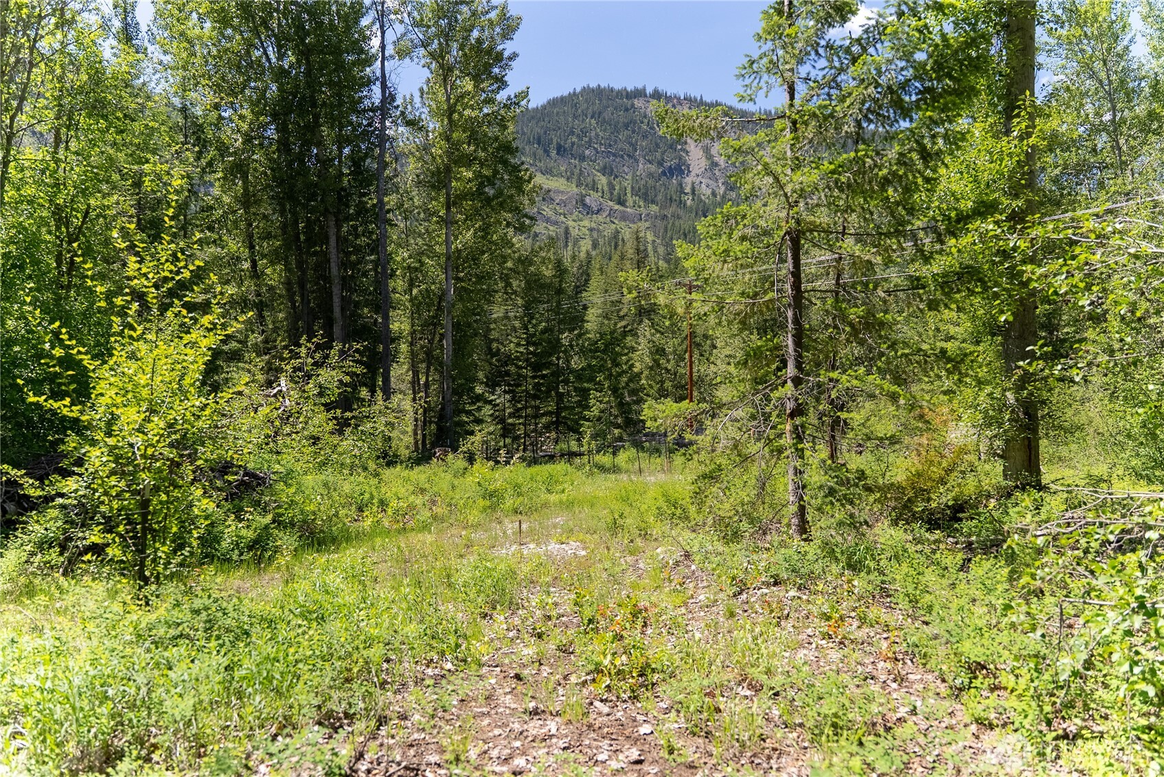 97 Tbd Cedarosa Way Property Photo 8