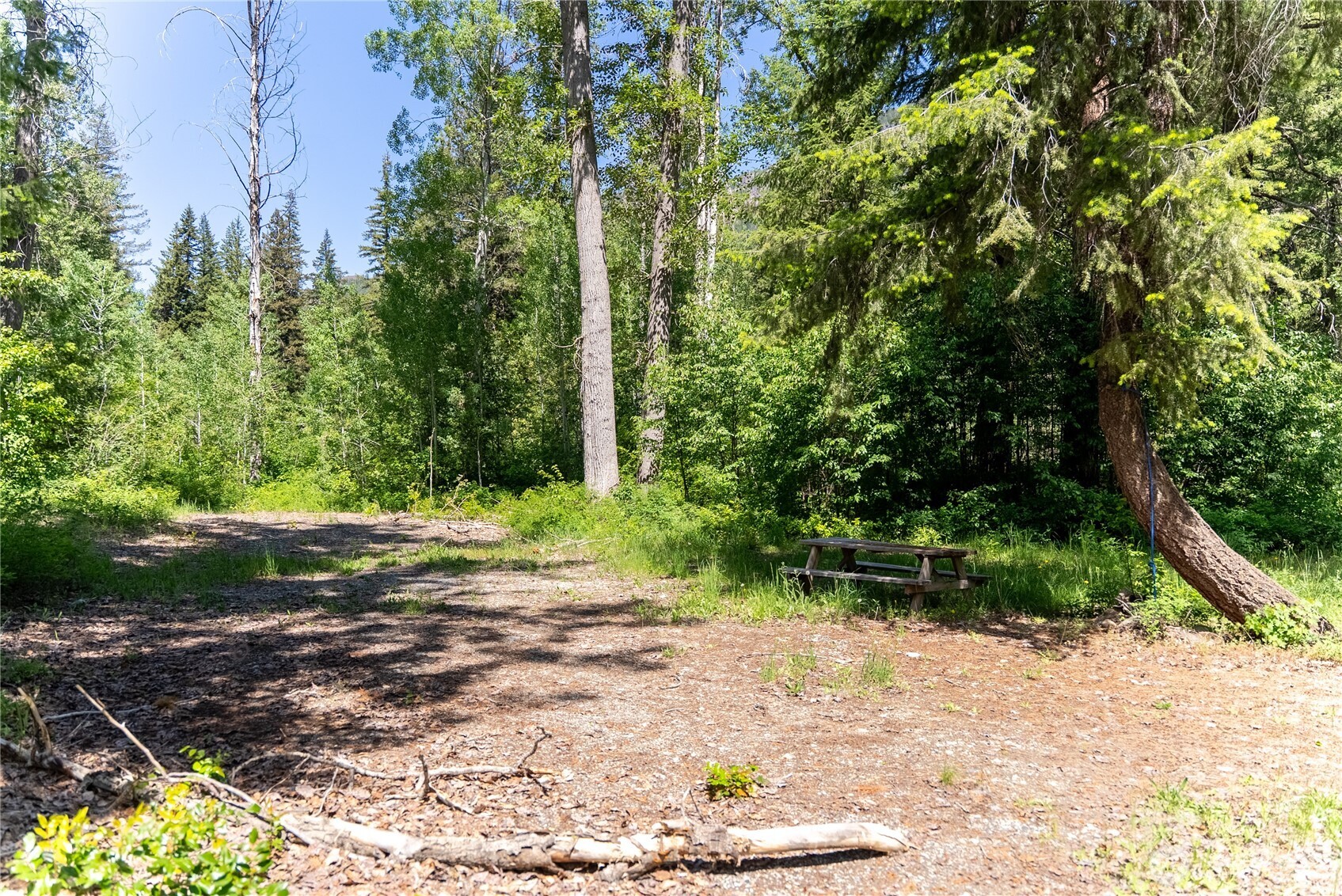 97 Tbd Cedarosa Way Property Photo 11