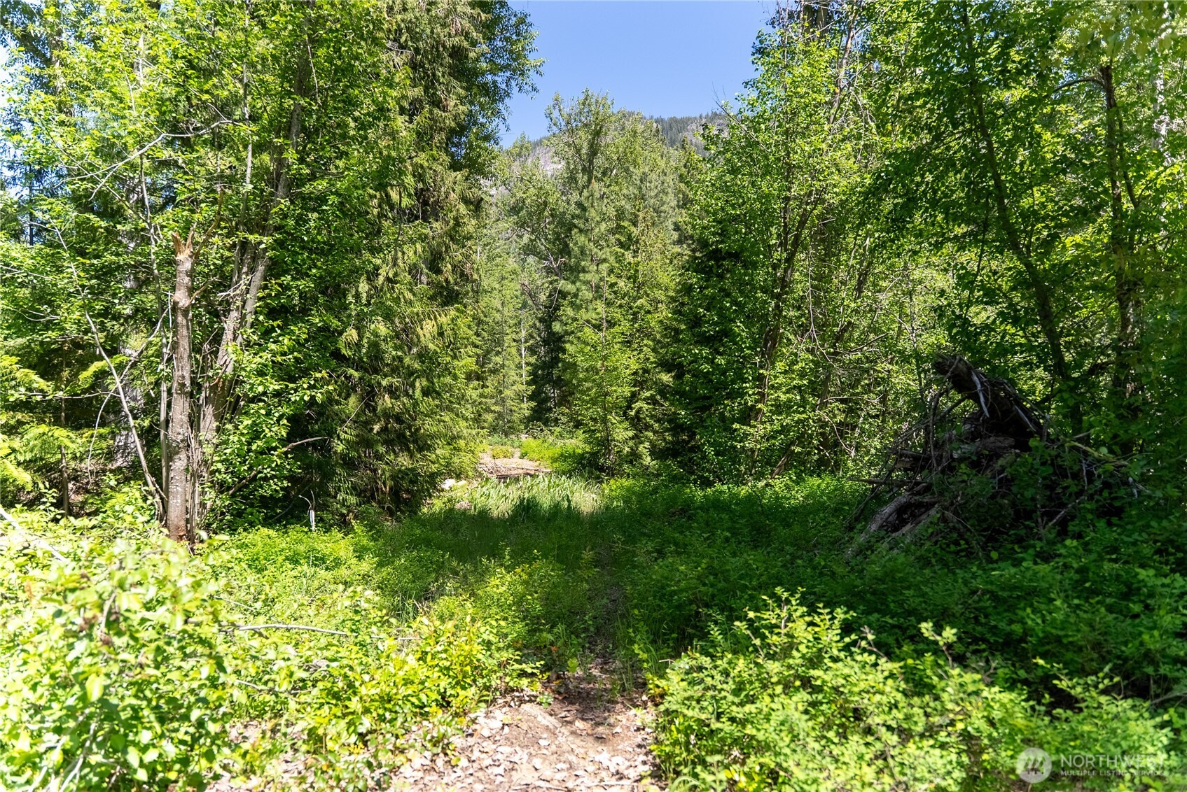 97 Tbd Cedarosa Way Property Photo 12