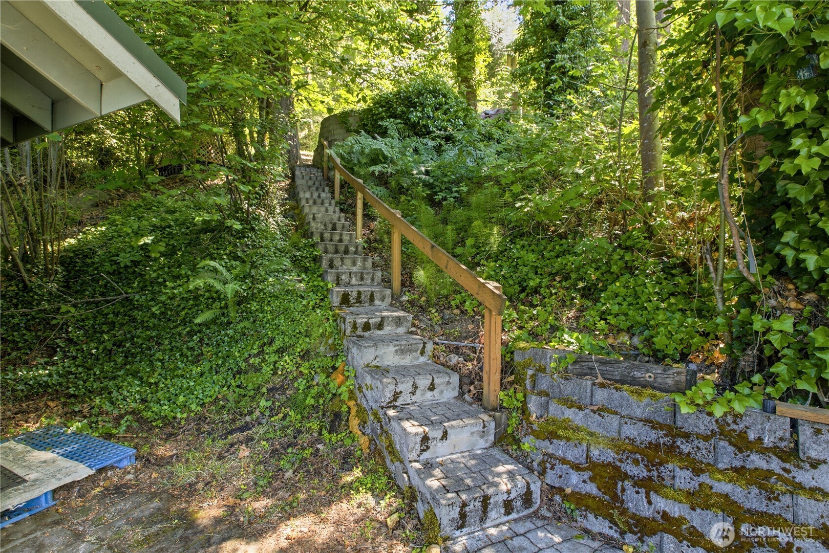 39420 Ski Park Road Property Photo 20