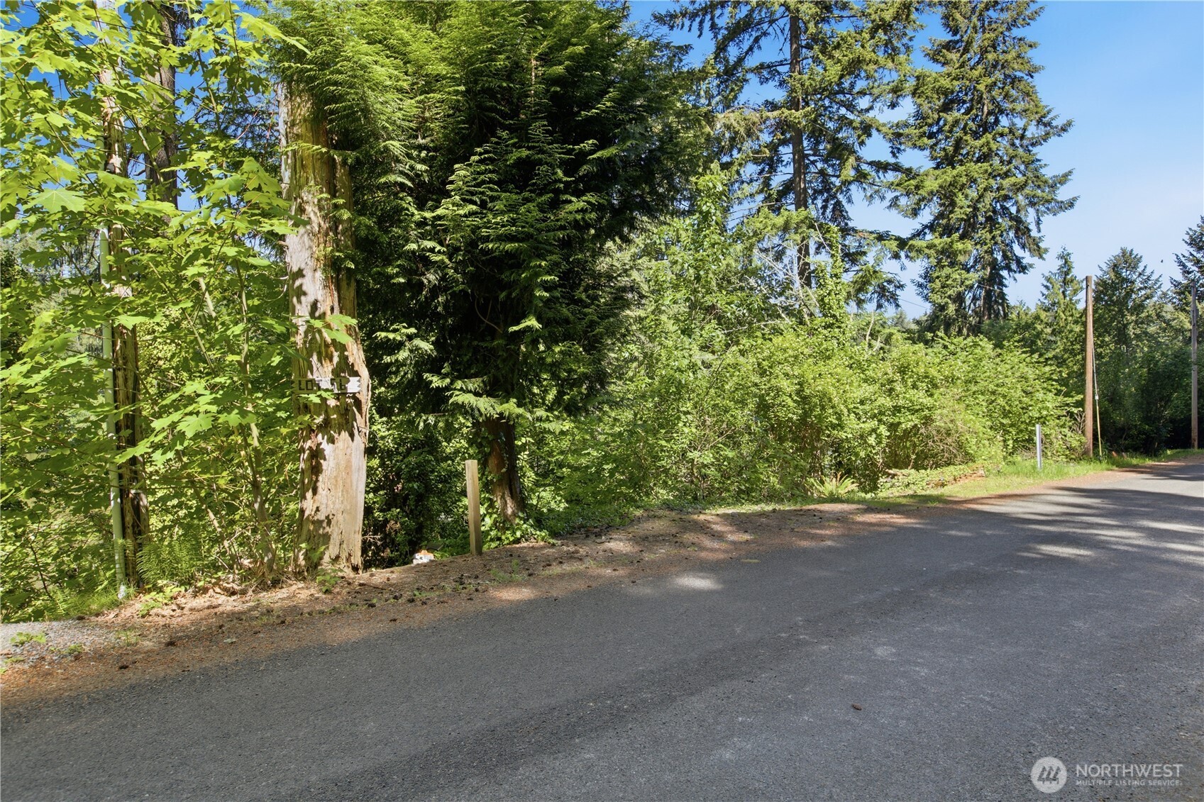 39420 Ski Park Road Property Photo 22