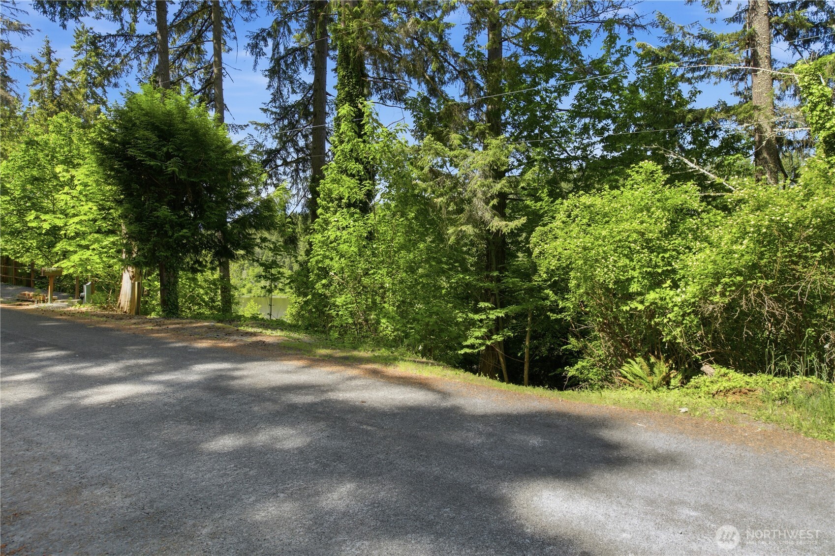 39420 Ski Park Road Property Photo 25