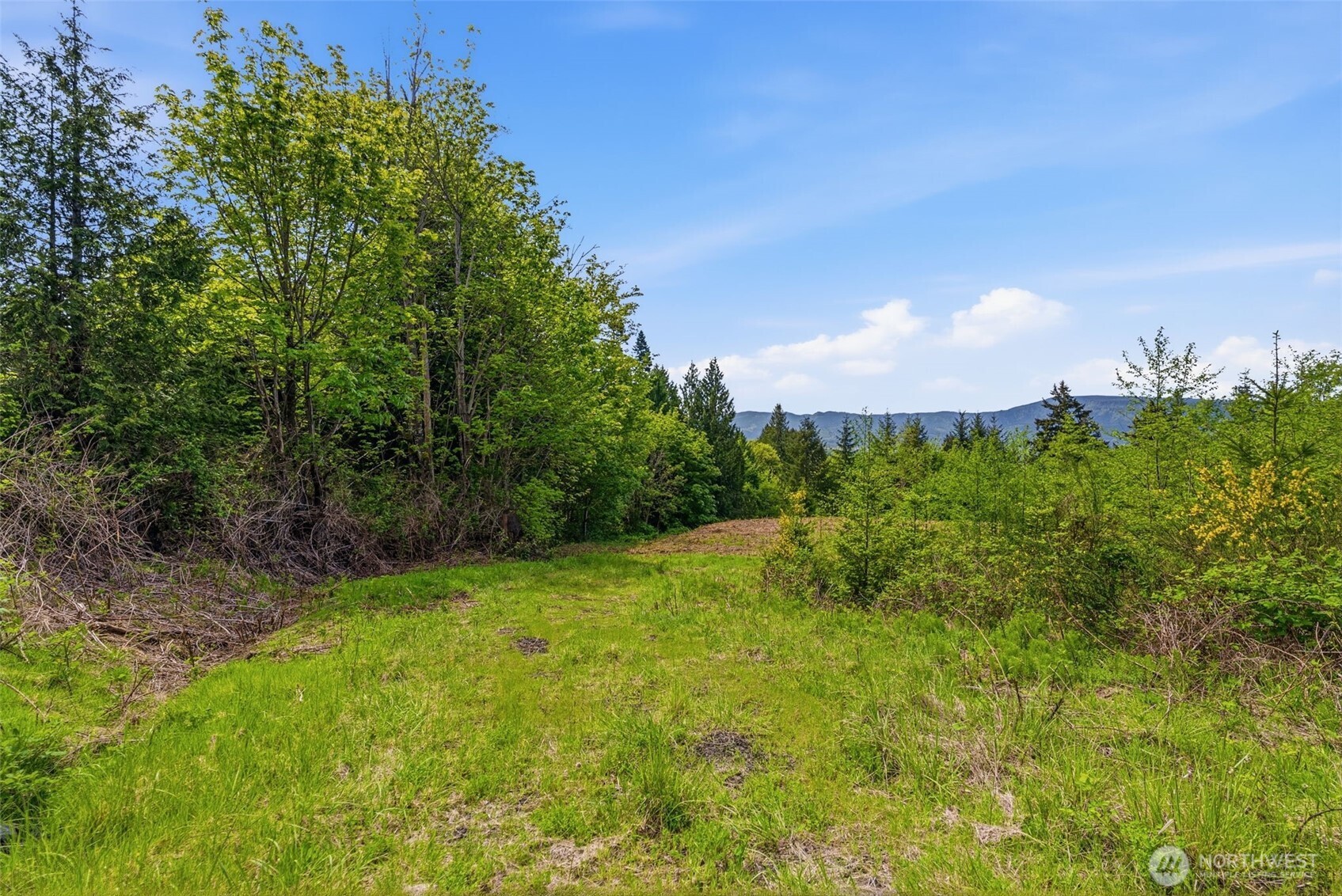 0 E State Route 4 Property Photo 10