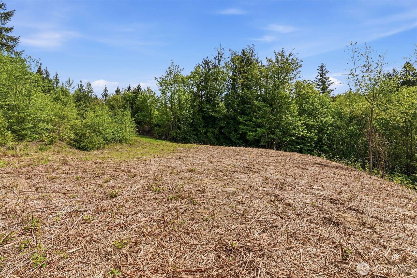 0 E State Route 4 Property Photo 15