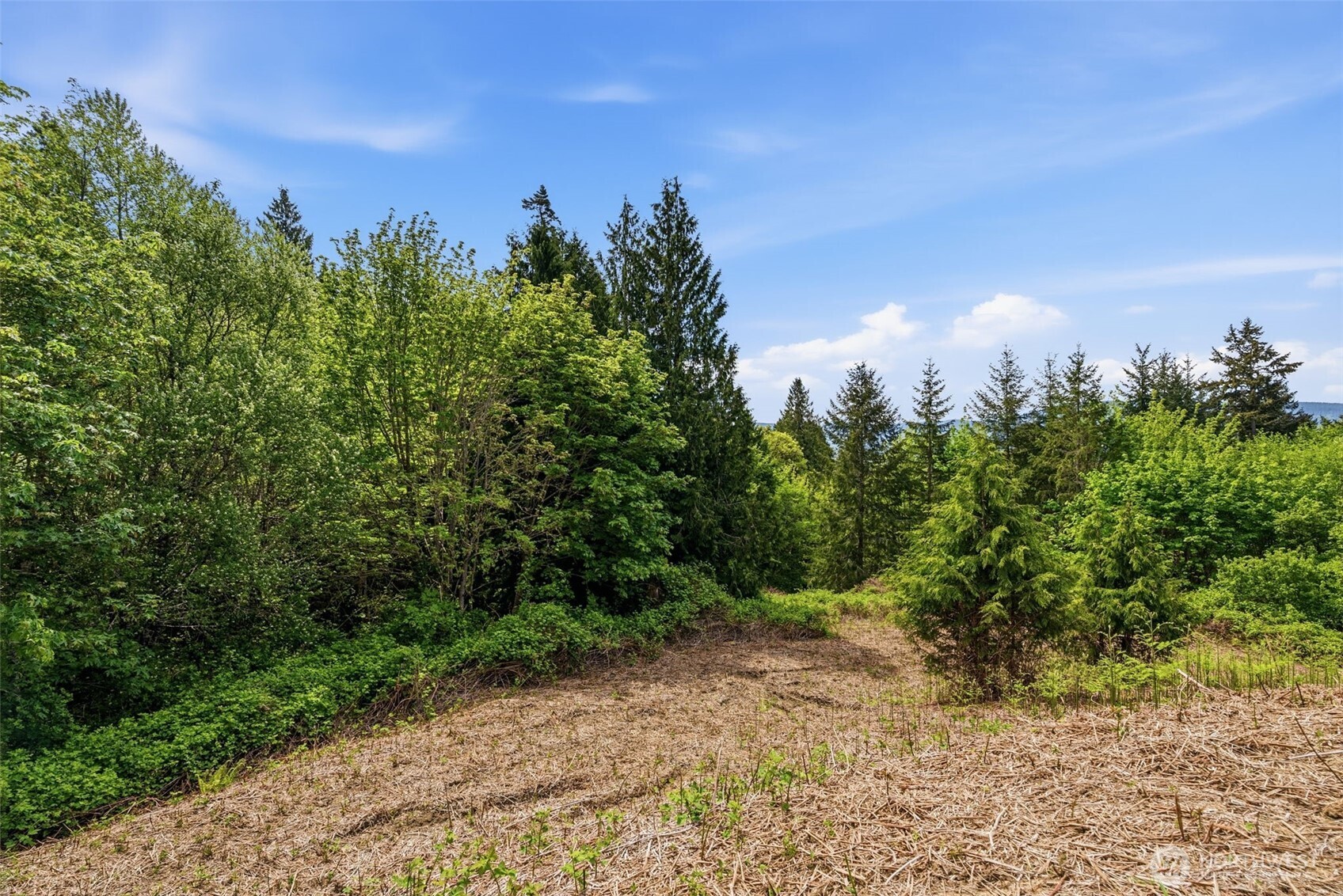 0 E State Route 4 Property Photo 16