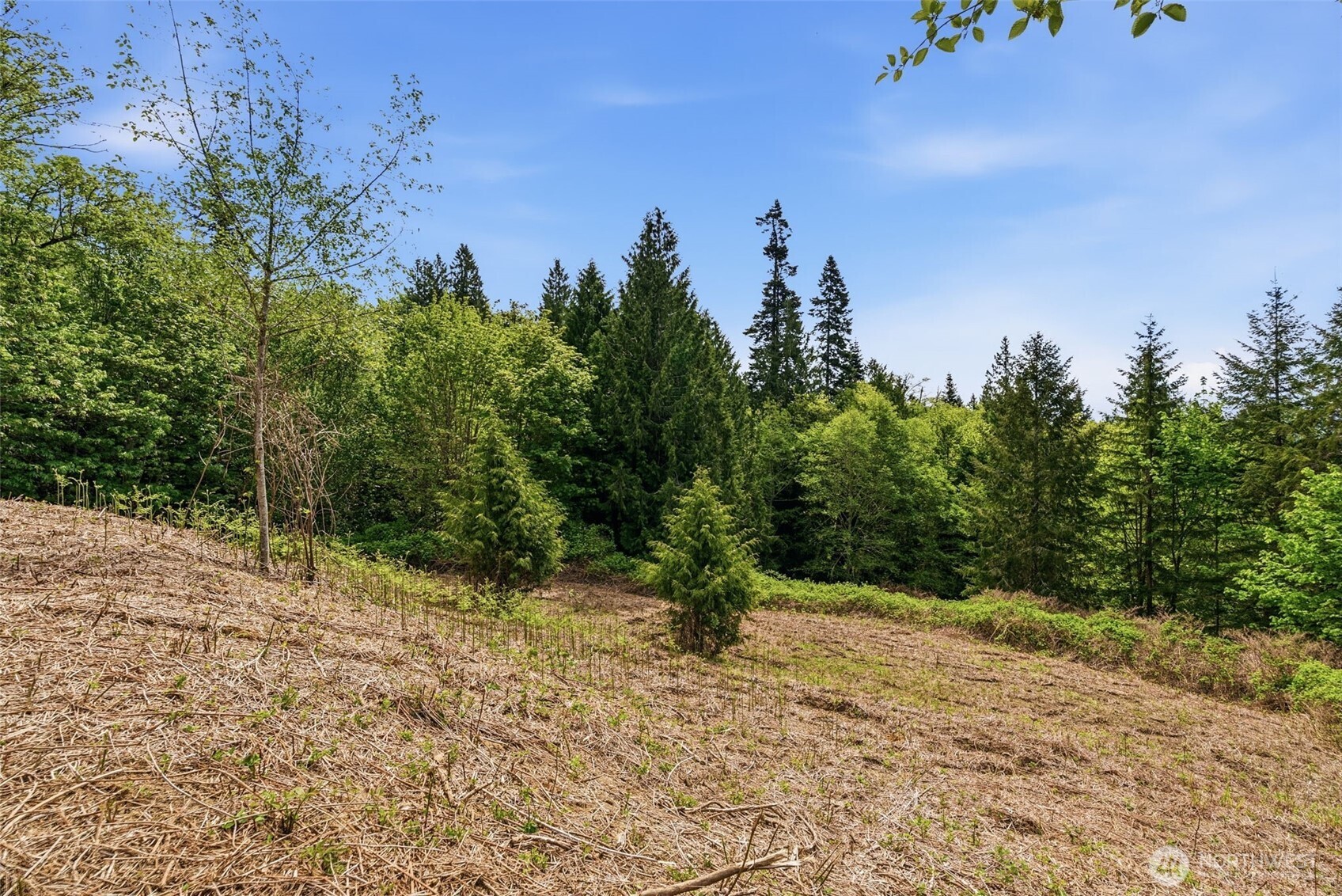 0 E State Route 4 Property Photo 18