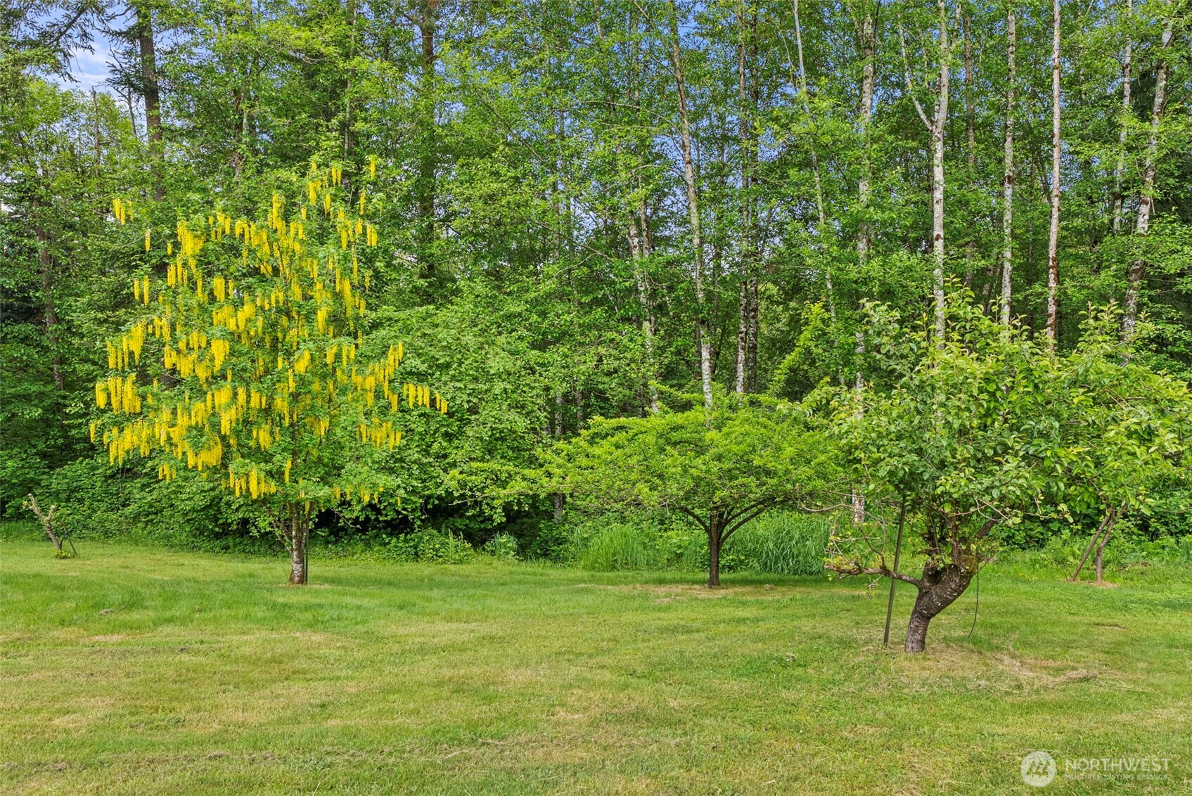 2538 157th Lane Property Photo 22
